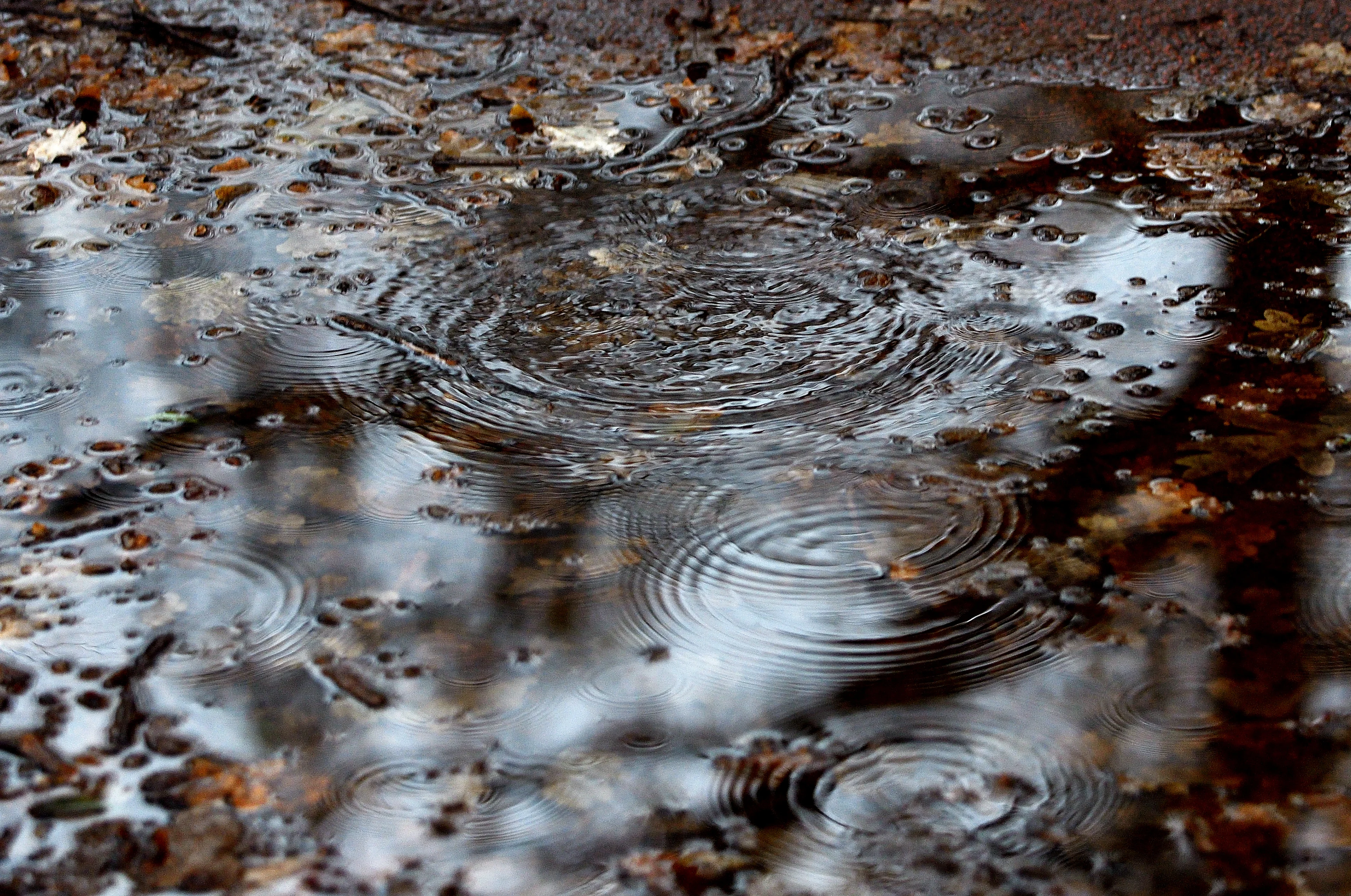 Kletsnatte herfstdag voor de boeg, daardoor drukke ochtendspits verwacht