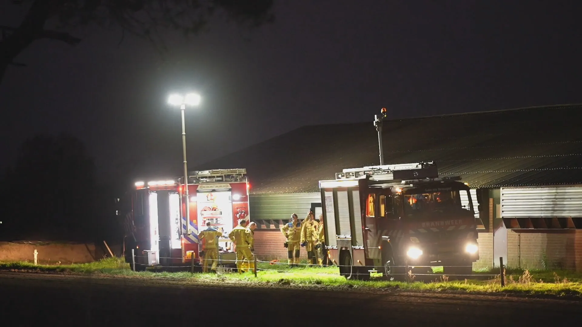 Vijftig varkens vallen in mestput: Brabantse brandweer rukt groots uit