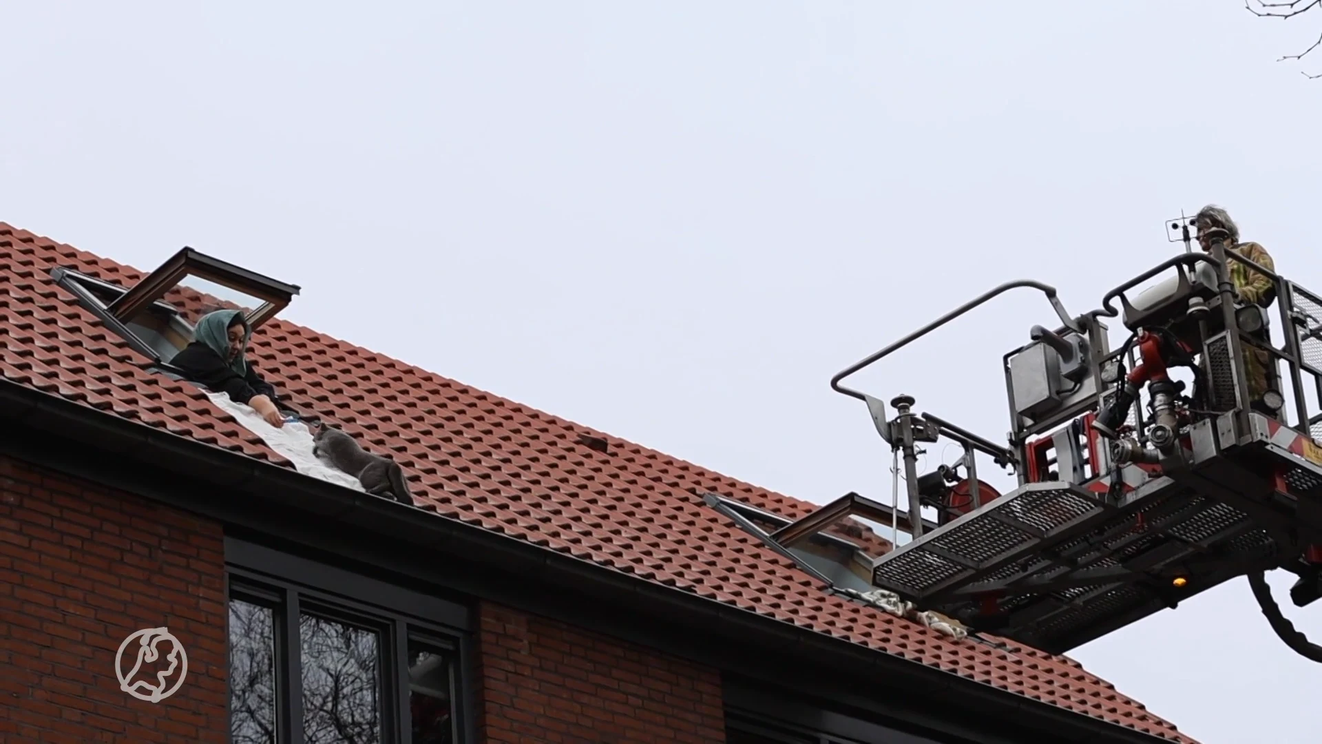 ZIEN: Eigenaar redt poes met dekentje uit dakgoot