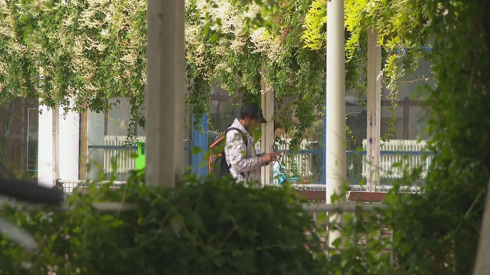 Buurt is drugsoverlast rond Haags plantsoen meer dan zat: 'Niemand voelt zich veilig'