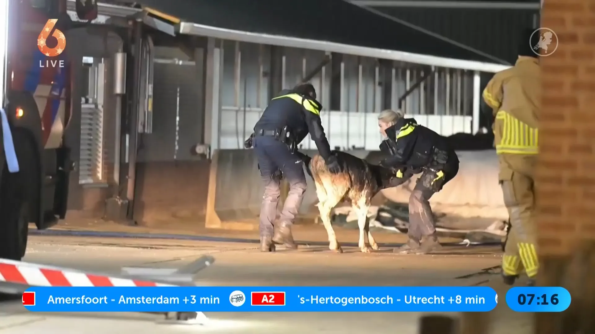 Grote stalbrand in Waarder-Westeinde: vier kalveren overleden