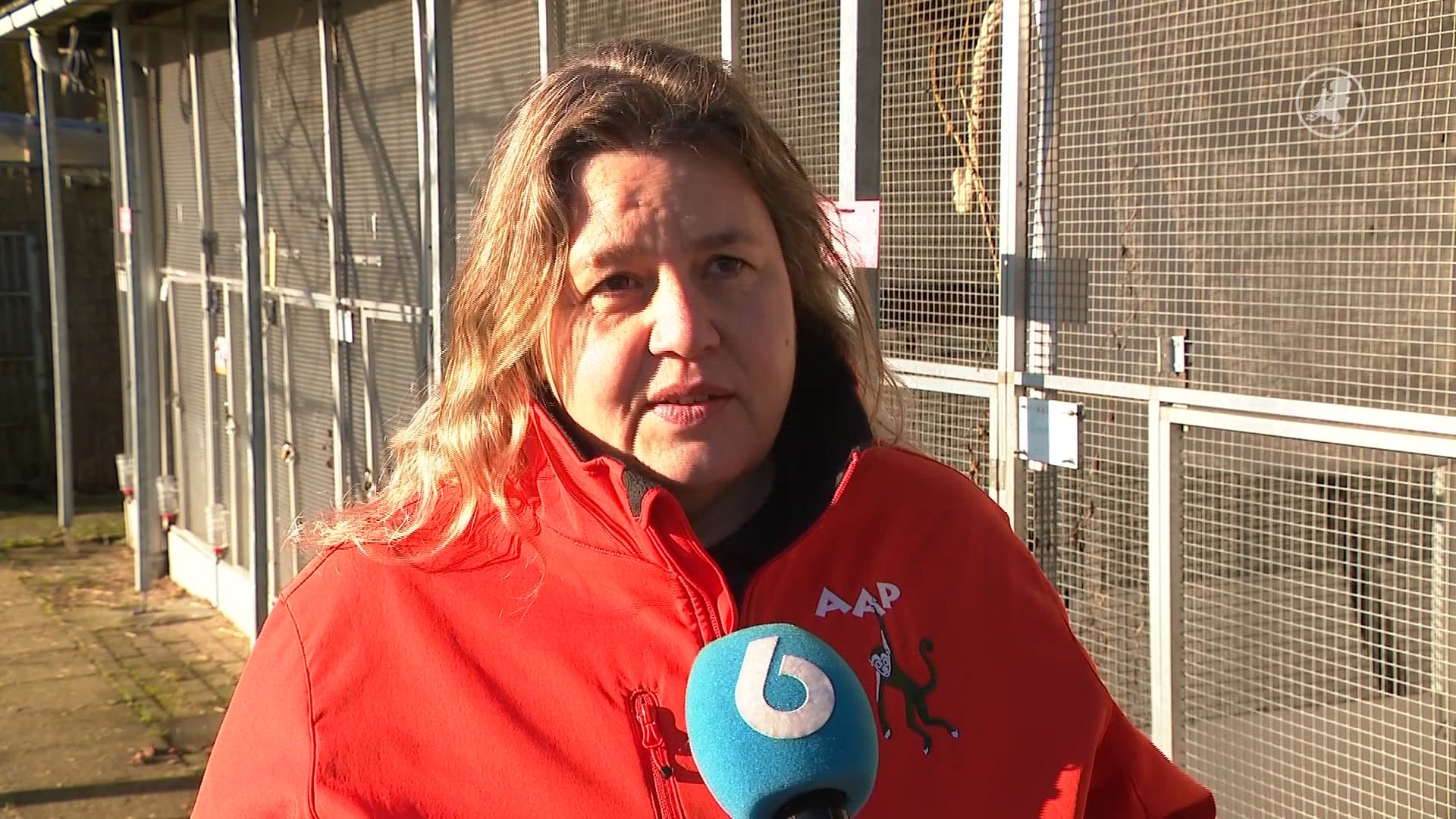 'Het is maar een paar seconden schattig, vervolgens heb je het dier 24 uur per dag in huis'