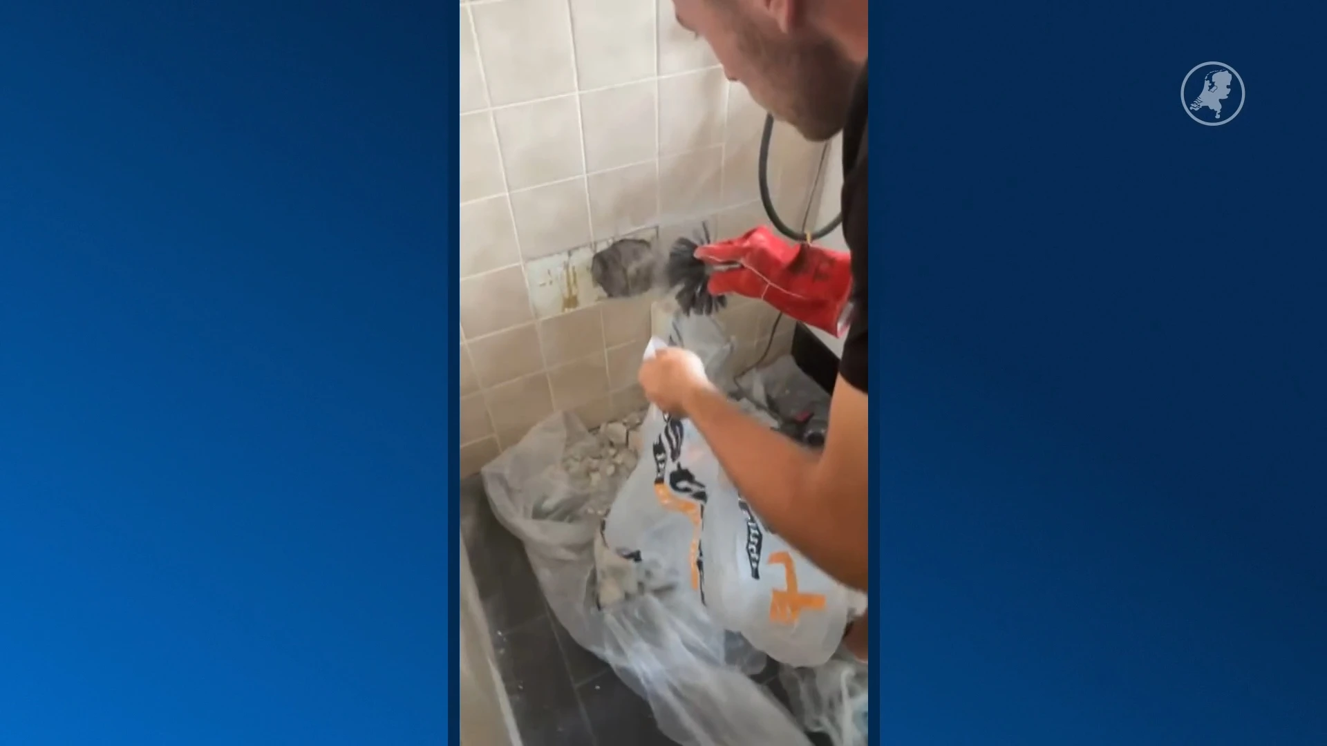 Duizenden maden in plafond leiden tot lugubere ontdekking