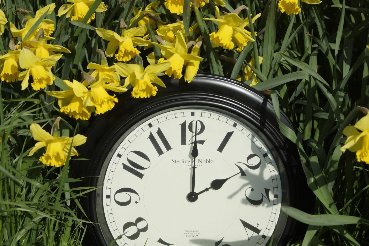 Vandaag eerste voorproefje van zonnig lenteweer