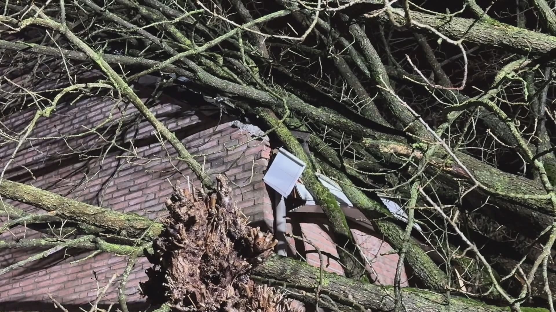 Van kapotte dakpannen tot schade aan auto's: ruim 250 schadeclaims na storm Louis