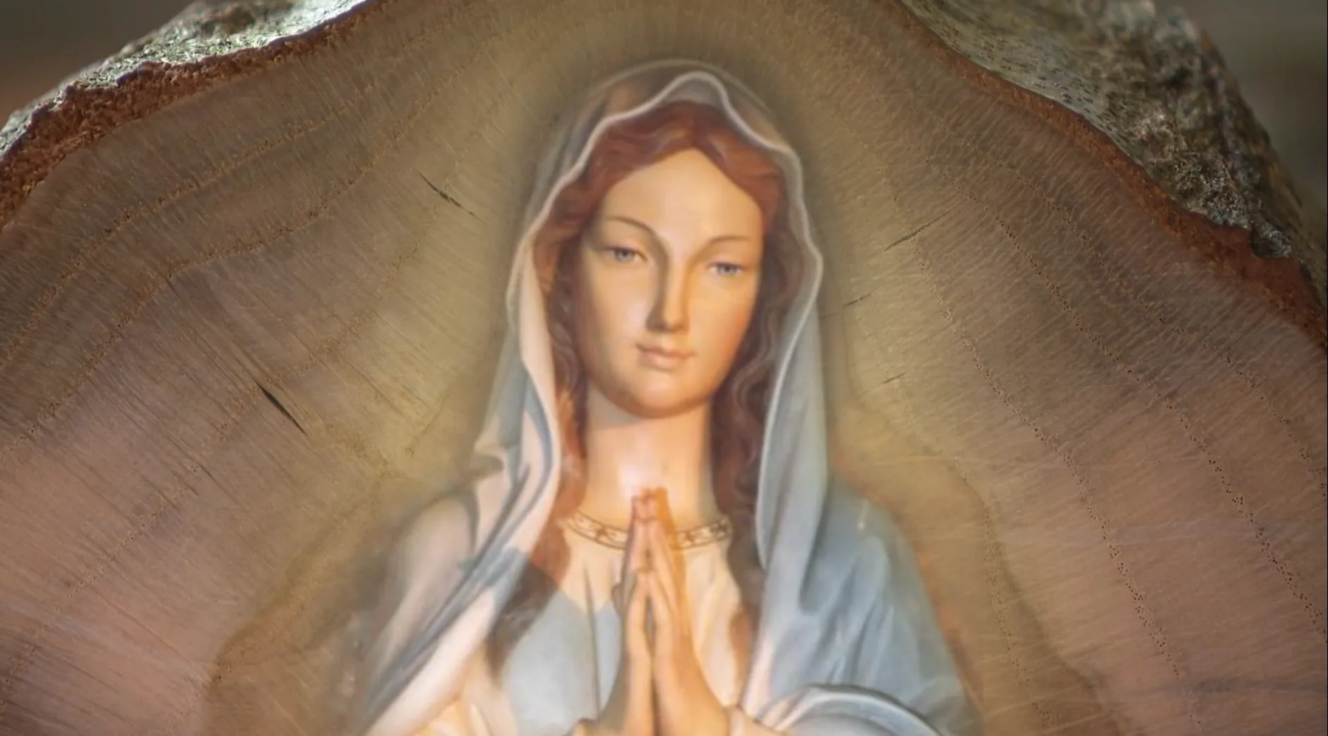 Het Wonder van Geldrop: 'Heilige maagd Maria' verschijnt op stuk hout