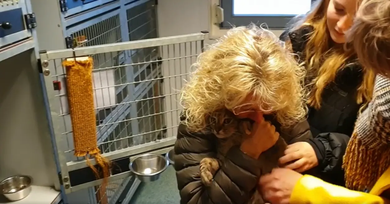 Duits baasje in tranen na hereniging met poes Emy in asiel Zwolle