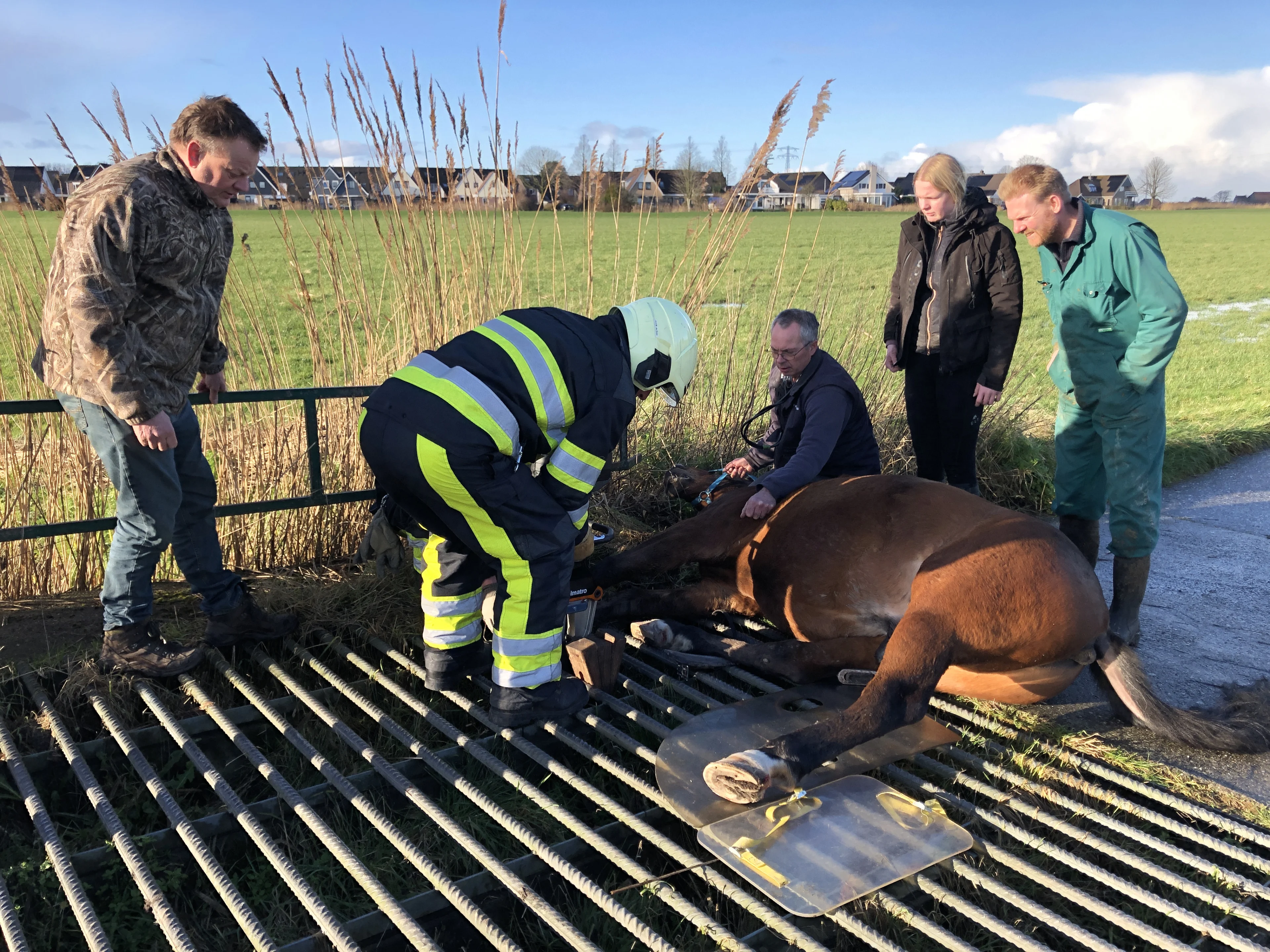 Paard Diego vast in wildrooster, brandweer moet ingrijpen