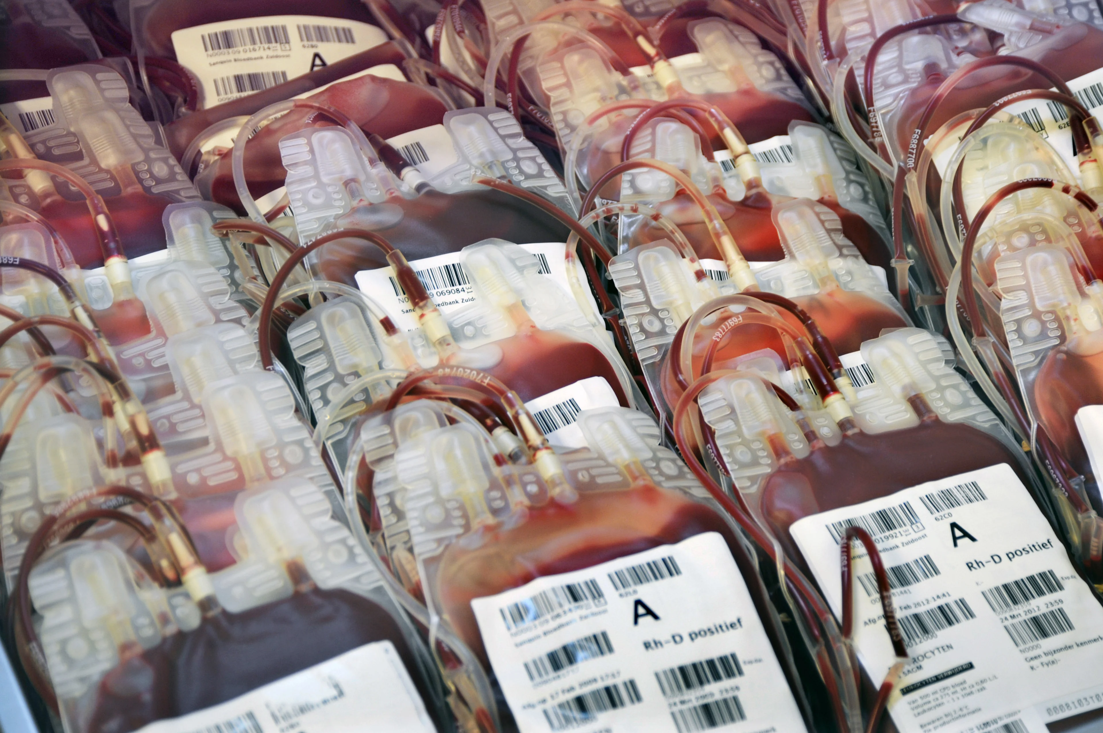 'Helft besmette bloeddonoren dacht geen coronavirus te hebben gehad'