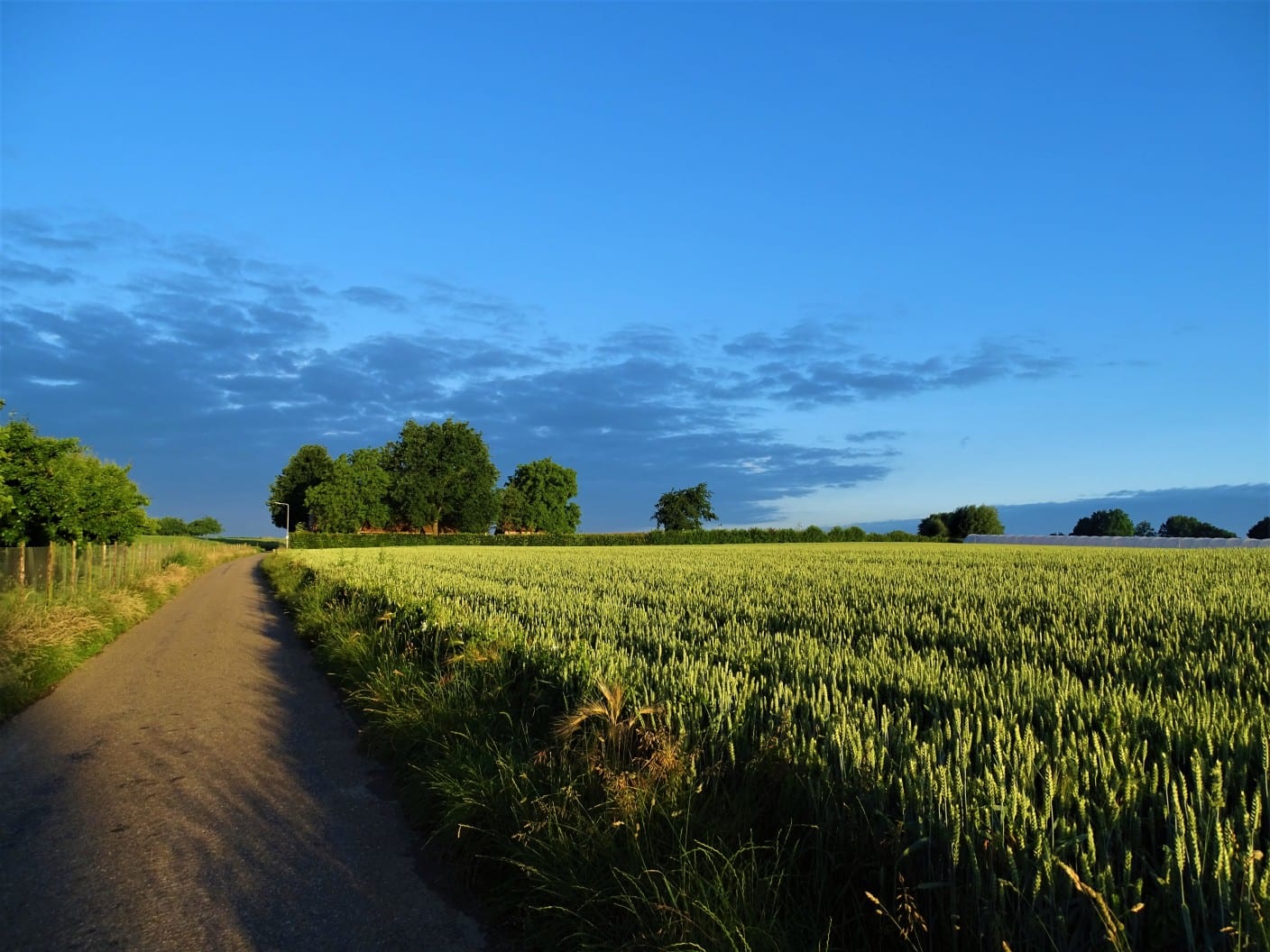 Weersverwachting: eerst flink wat zon en warm, later (onweers)buien