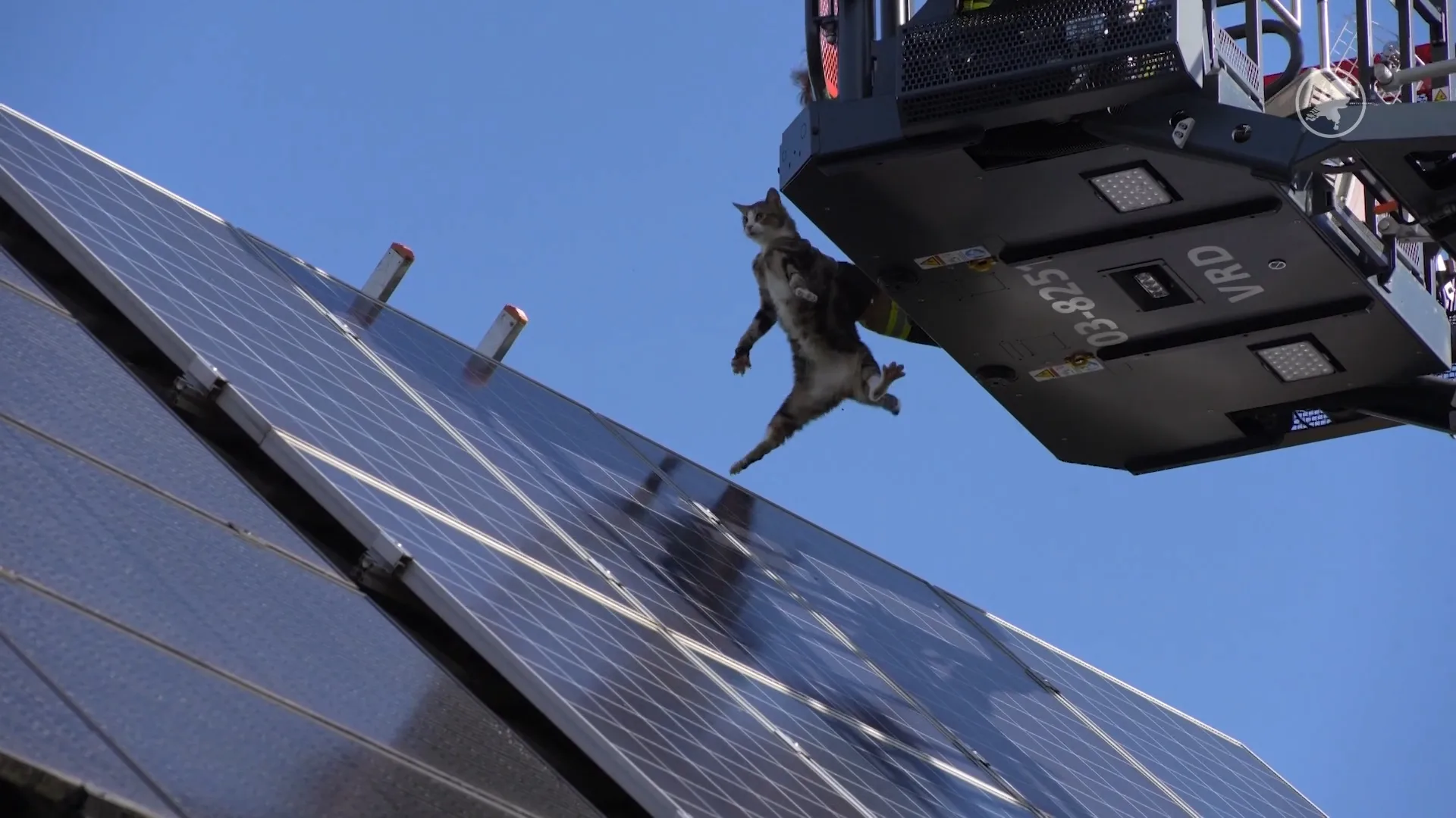 Poes onder de pannen, brandweer komt in actie