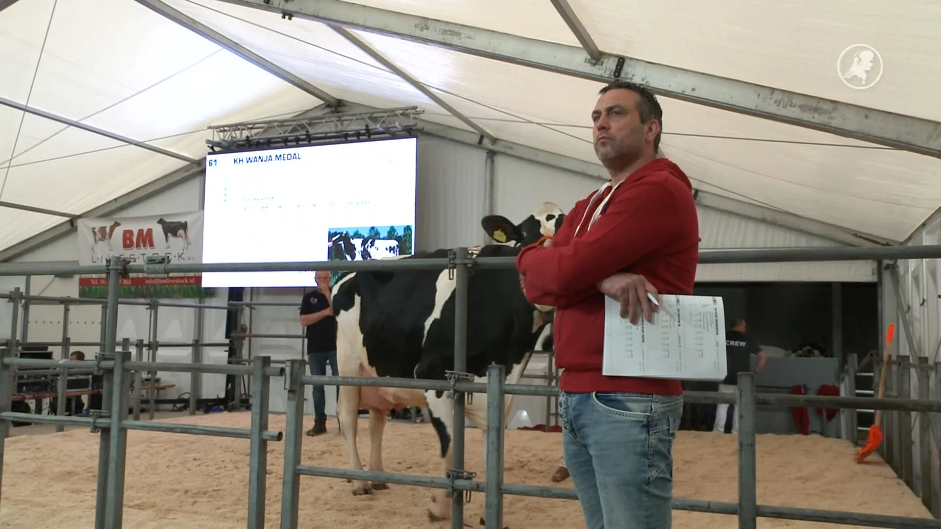 Veehouderij genoodzaakt om alle koeien te veilen: 'We moeten ons levenswerk opzeggen' 