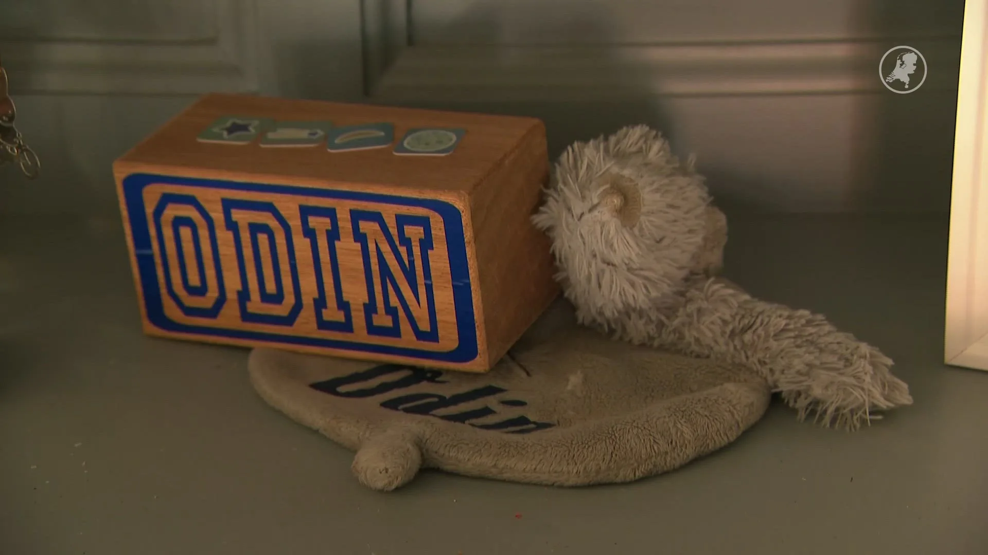 Steeds meer baby’s overlijden aan wiegendood: protocol moet levens redden