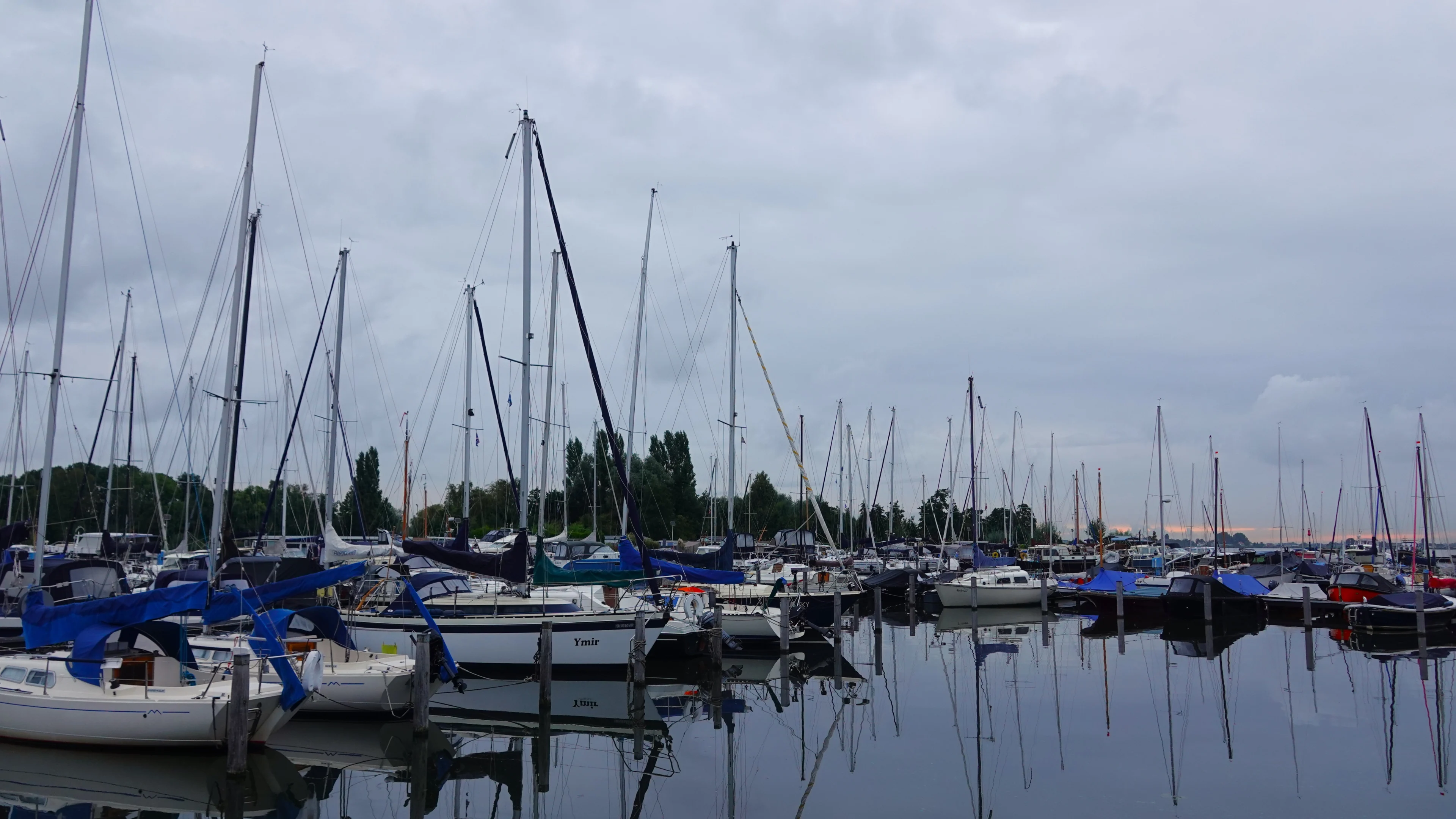 Mist en wind nemen het over na zonnige zaterdag, maar niet voor lang