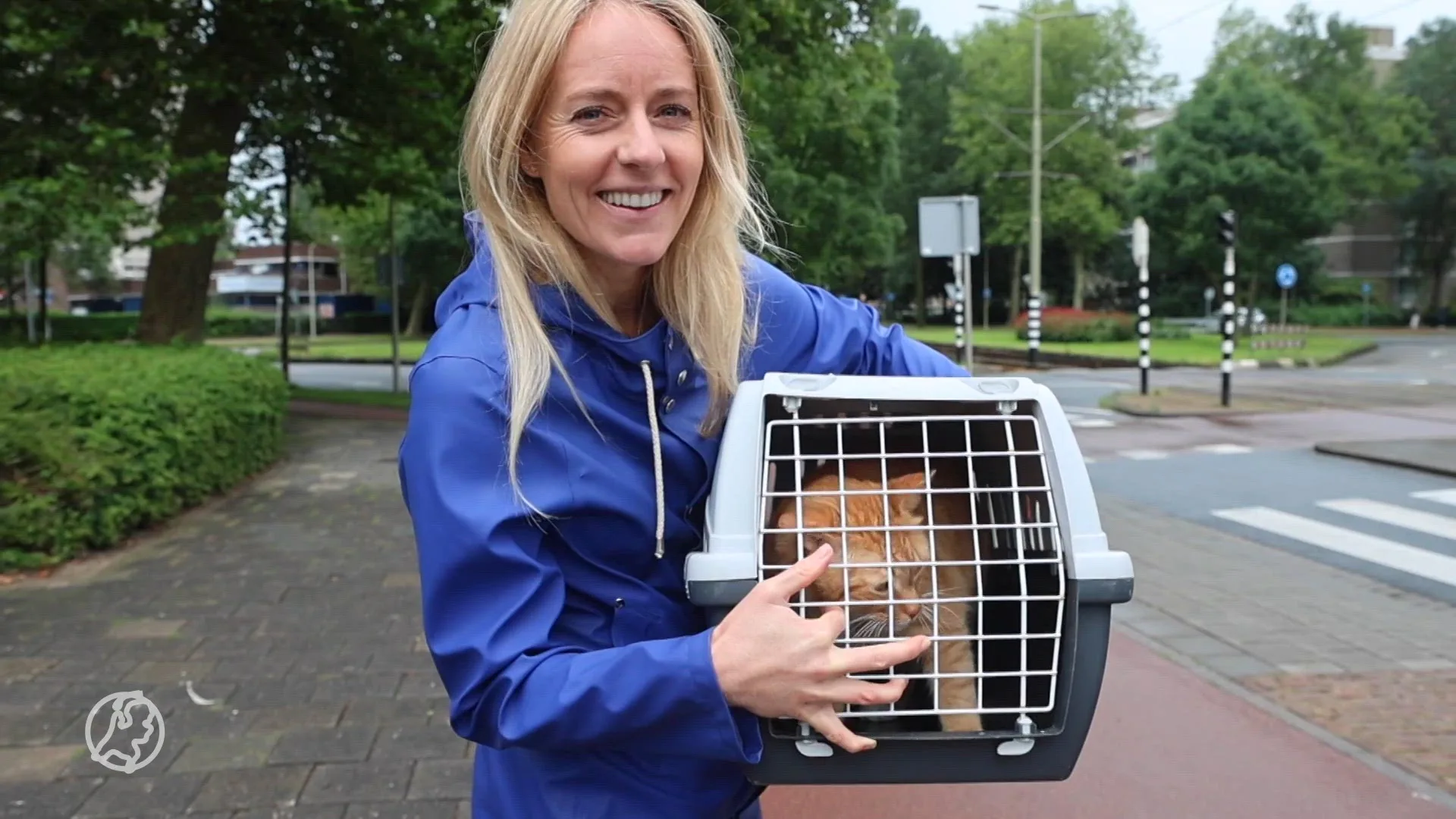 Vermiste kat na zeven jaar herenigd met baasjes: 'Het is echt bizar'