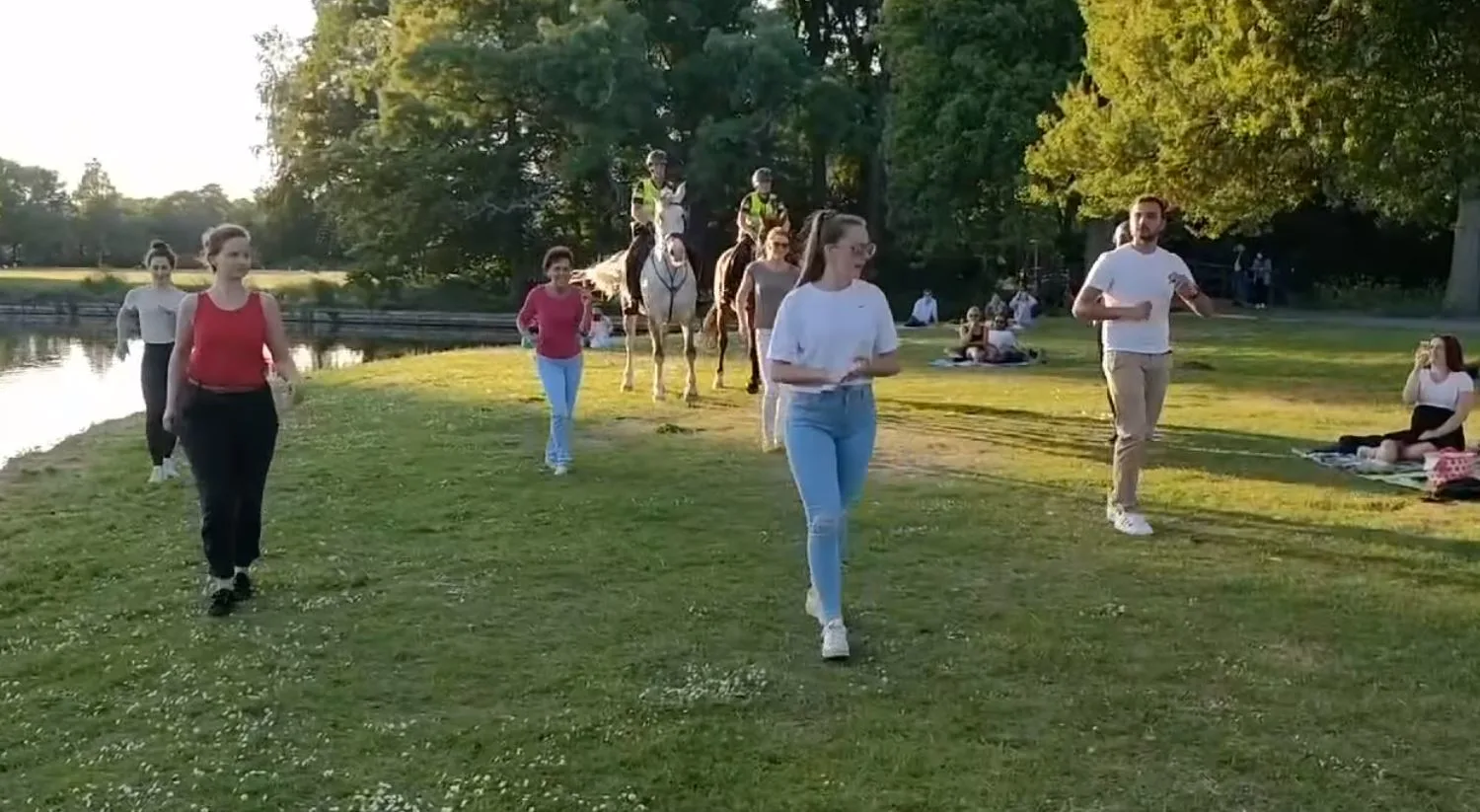 Politiepaarden dansen de salsa in Zuiderpark Den Haag