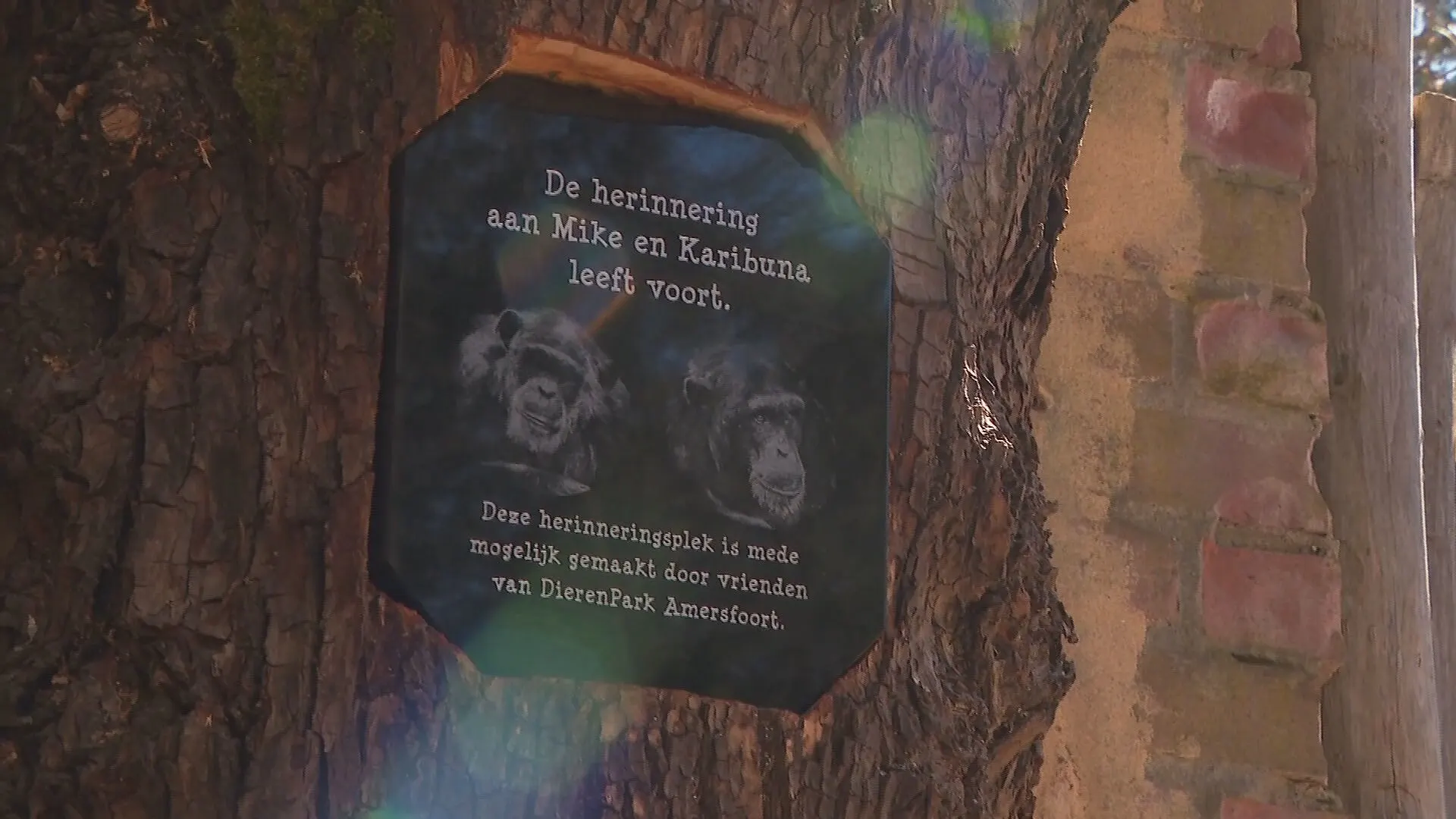 Dierenvrienden en park onthullen herdenkingsplek voor doodgeschoten Mike en Karibuna