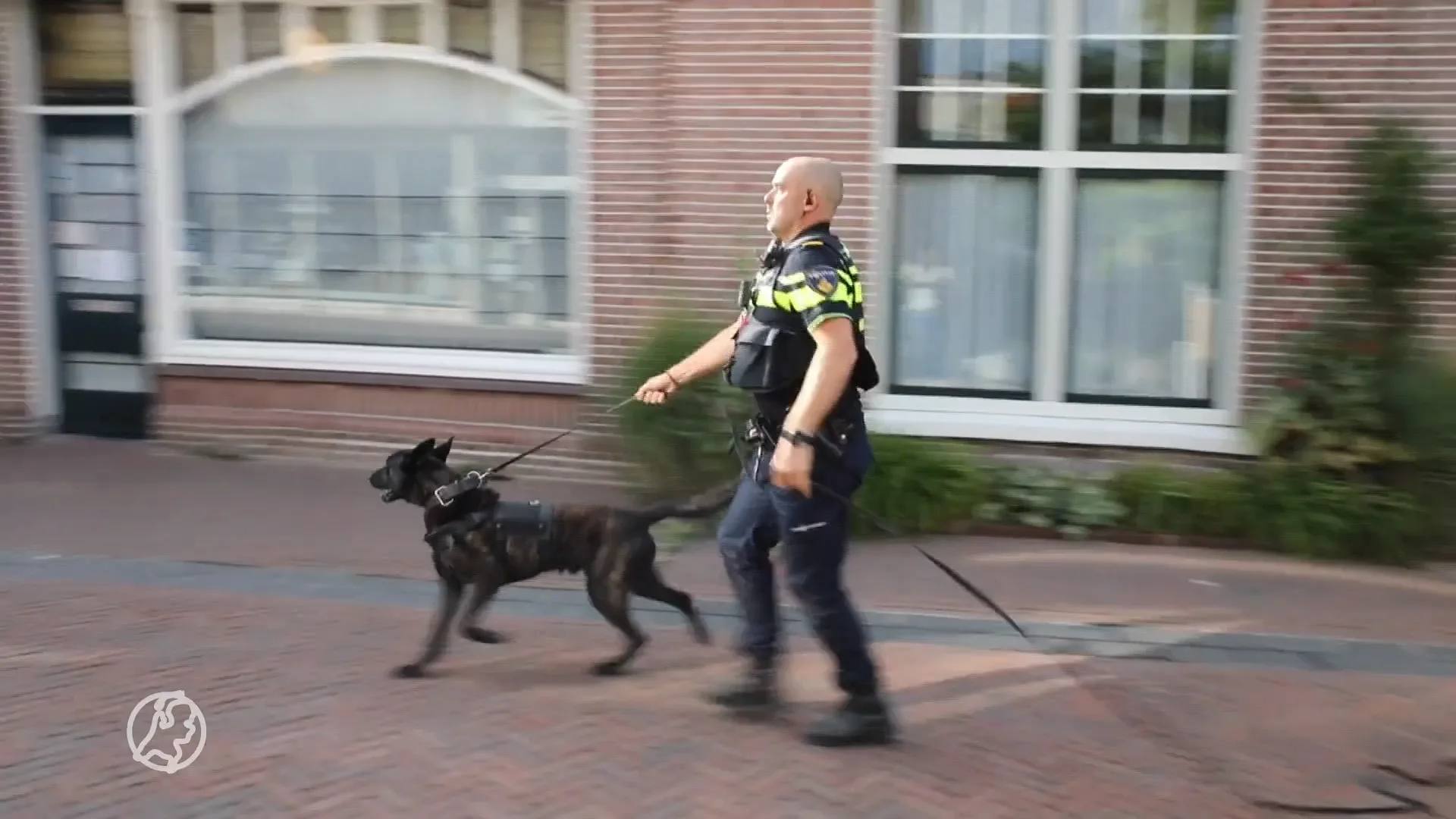 Man mishandelt cafébezoeker en klimt dak op om politie te ontvluchten