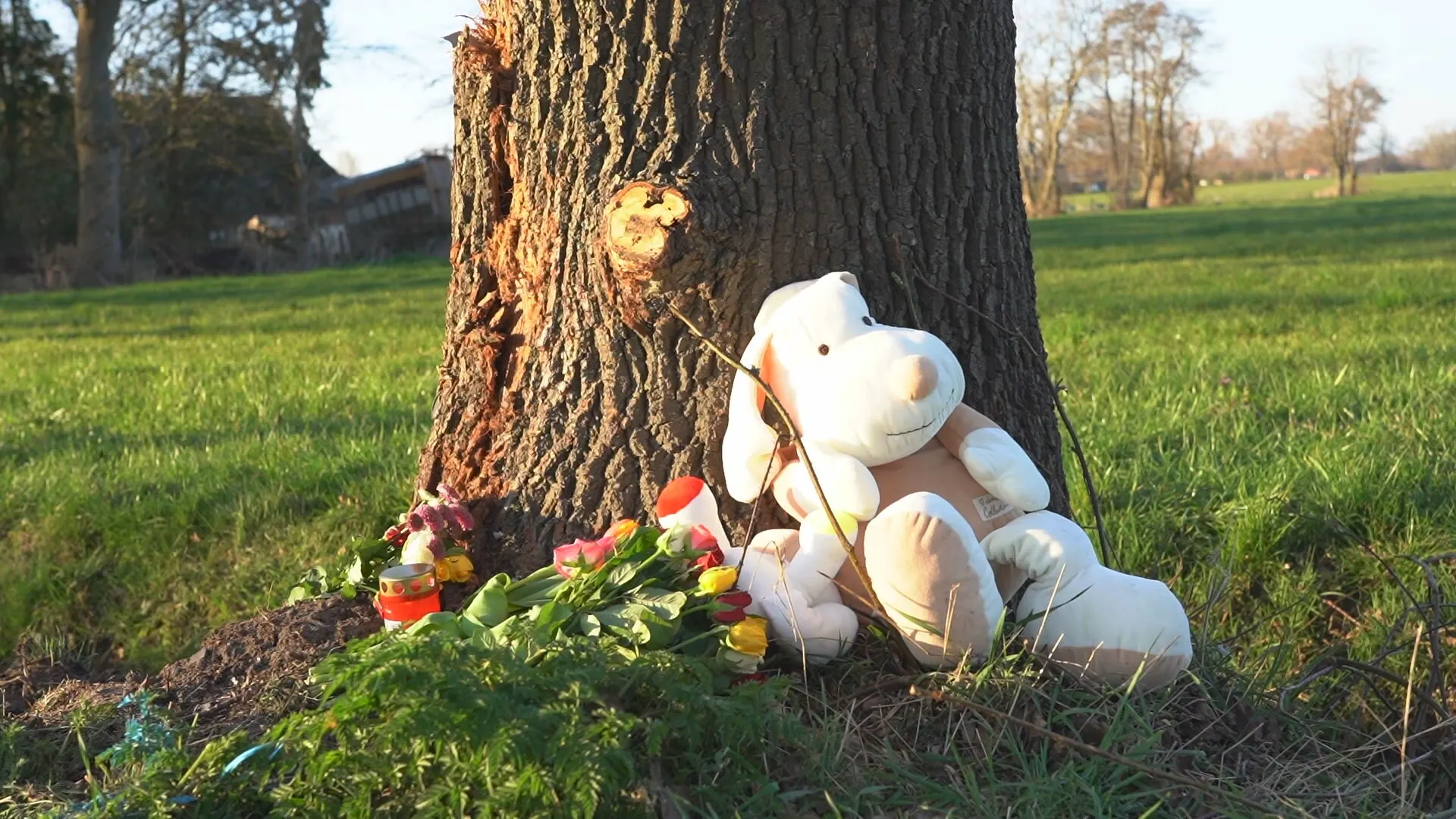 Moeder (22) en dochter (2) in ziekenhuis na fataal ongeluk Chaam, nog niet gehoord