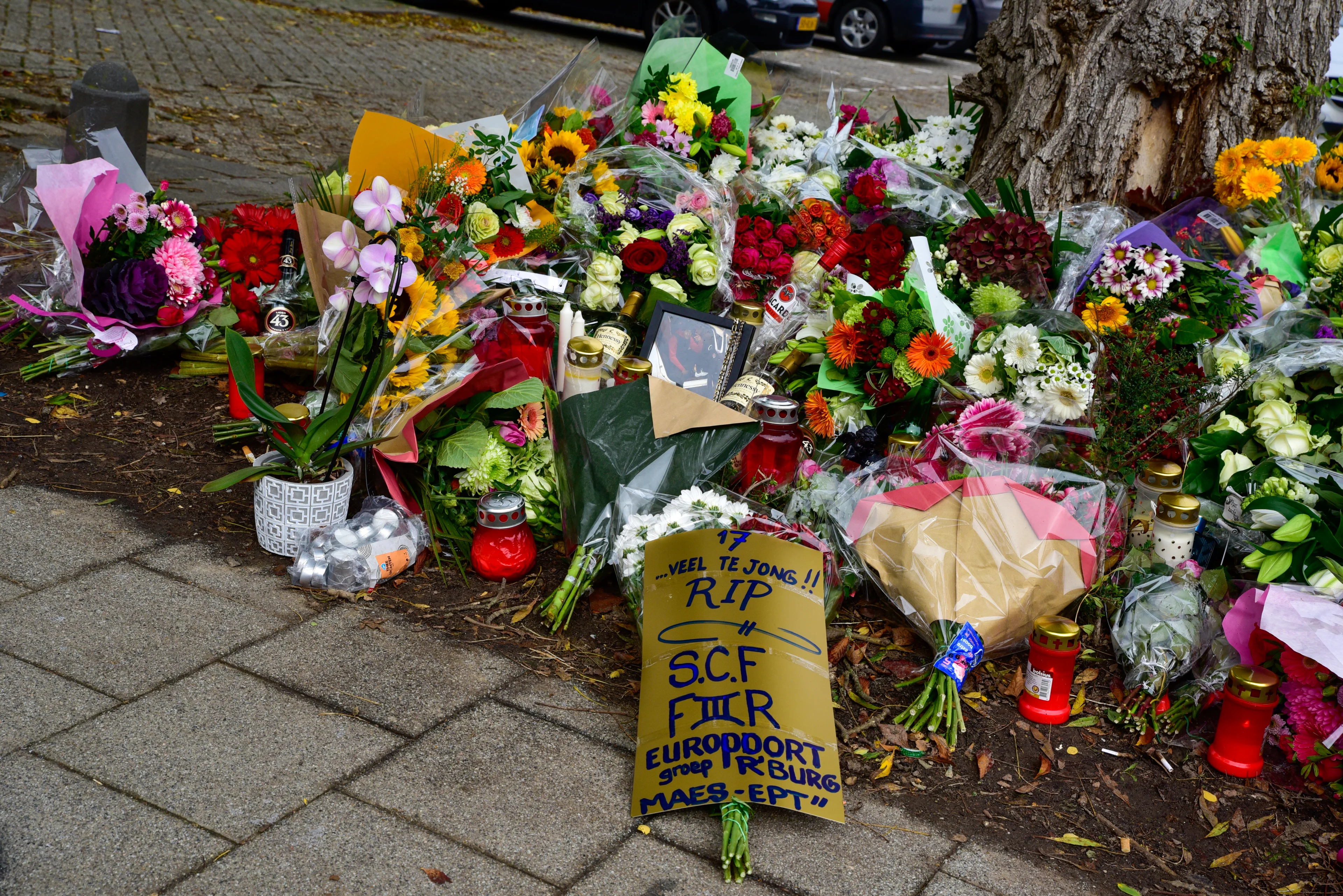 Auto gevonden die betrokken was bij fatale steekpartij Rozenburg