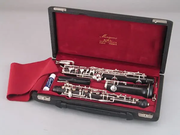 Unieke hobo nog altijd kwijt, politie zoekt getuigen op Utrecht CS