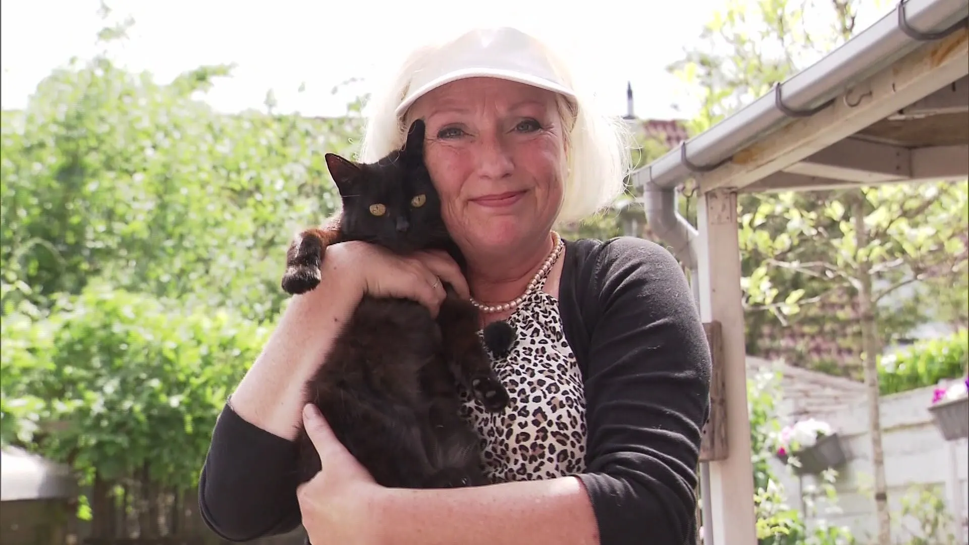 'Kleptokat' Lotje is op rooftocht en zet Assen op stelten
