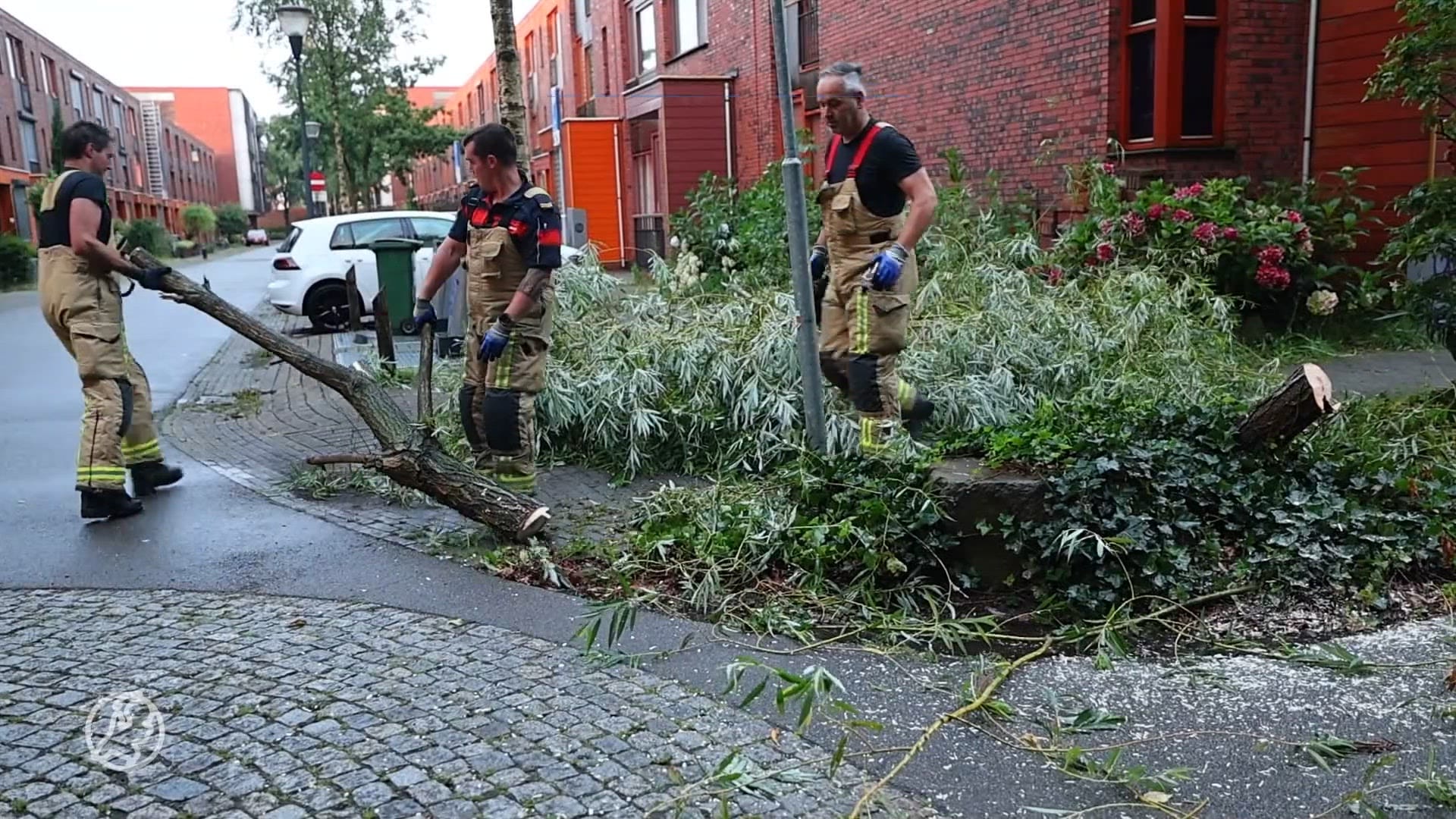 Omgewaaide bomen en wateroverlast na noodweer in Eindhoven