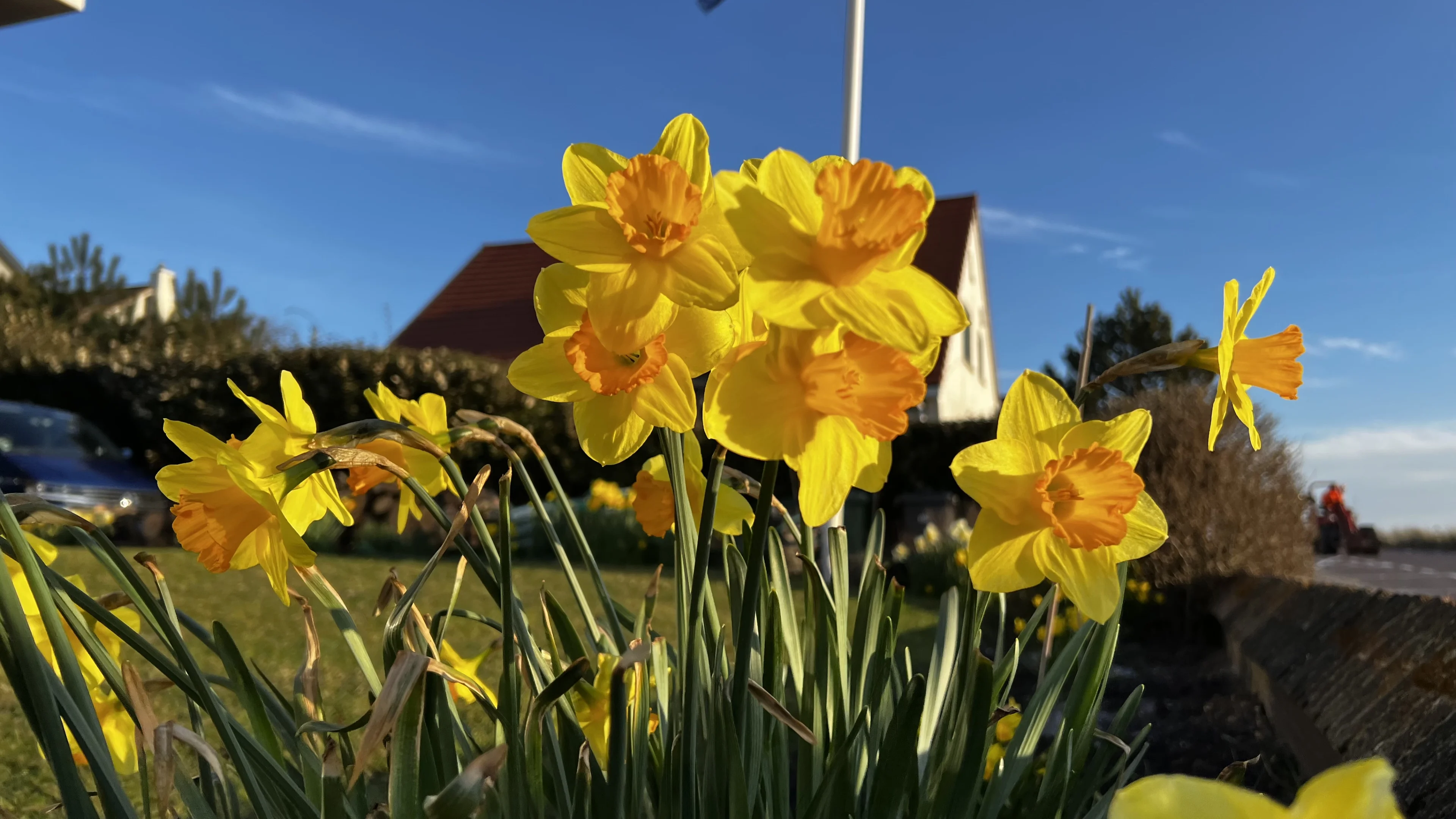 Na wolk Saharazand vandaag opnieuw zonnig lenteweer