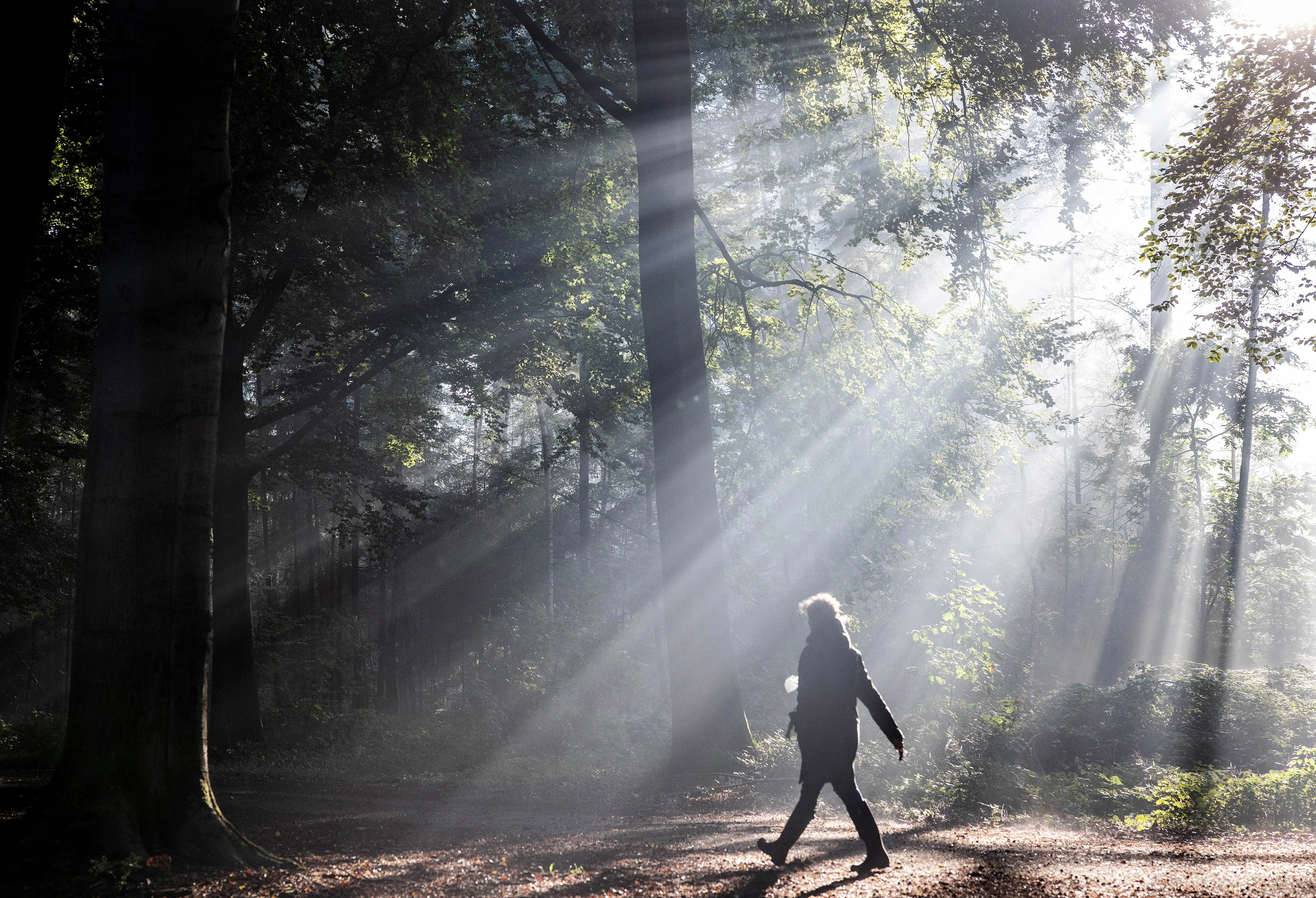 Heerlijke herfsttemperaturen, maar wel buien en onweer