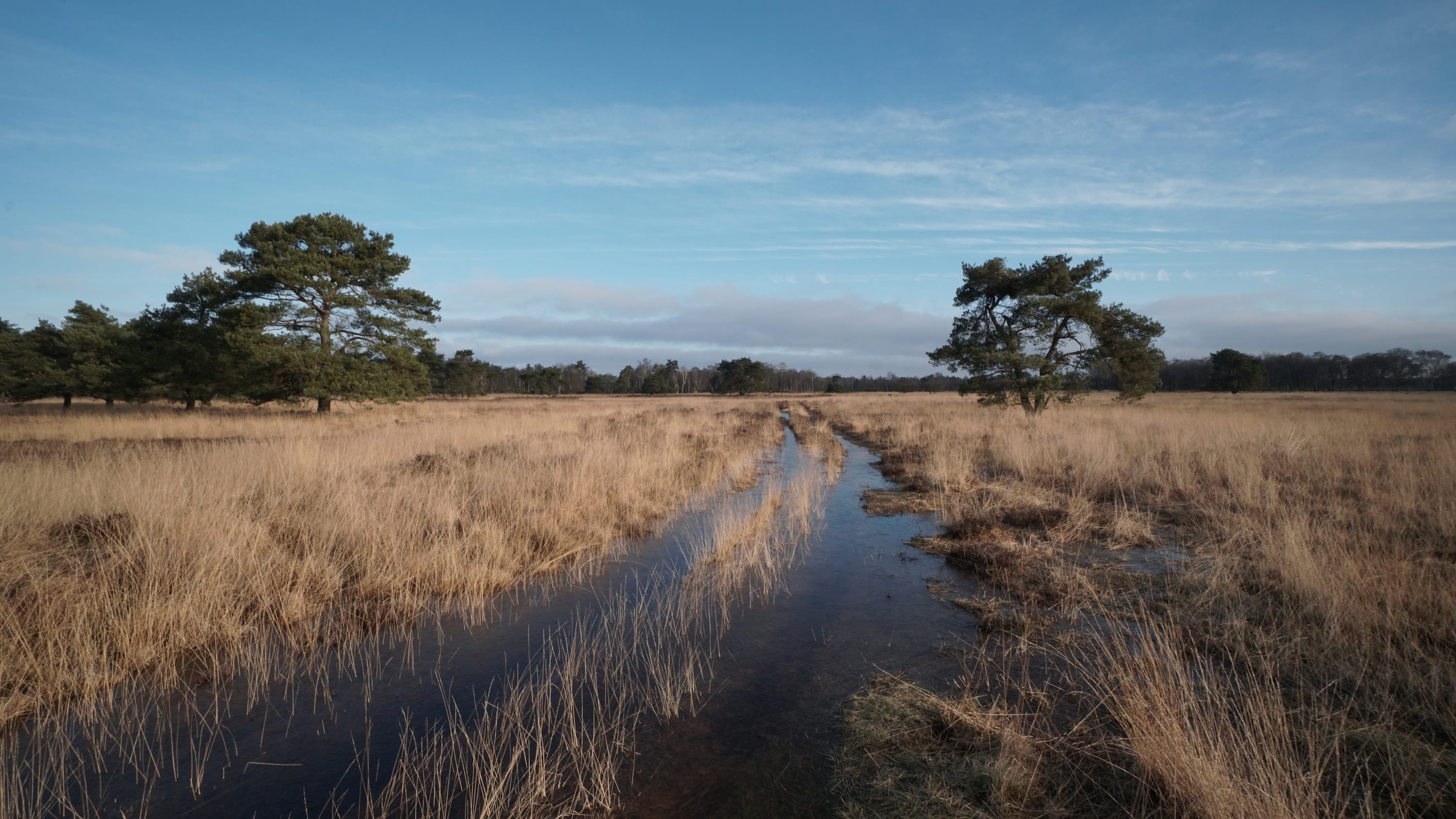 Van zon naar frisse jaarwisseling, later winterse buien