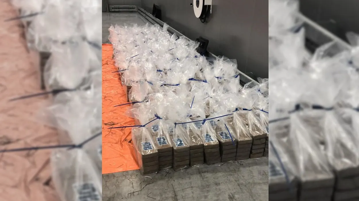 Douane onderschept 78 miljoen euro aan cocaïne in Rotterdamse haven