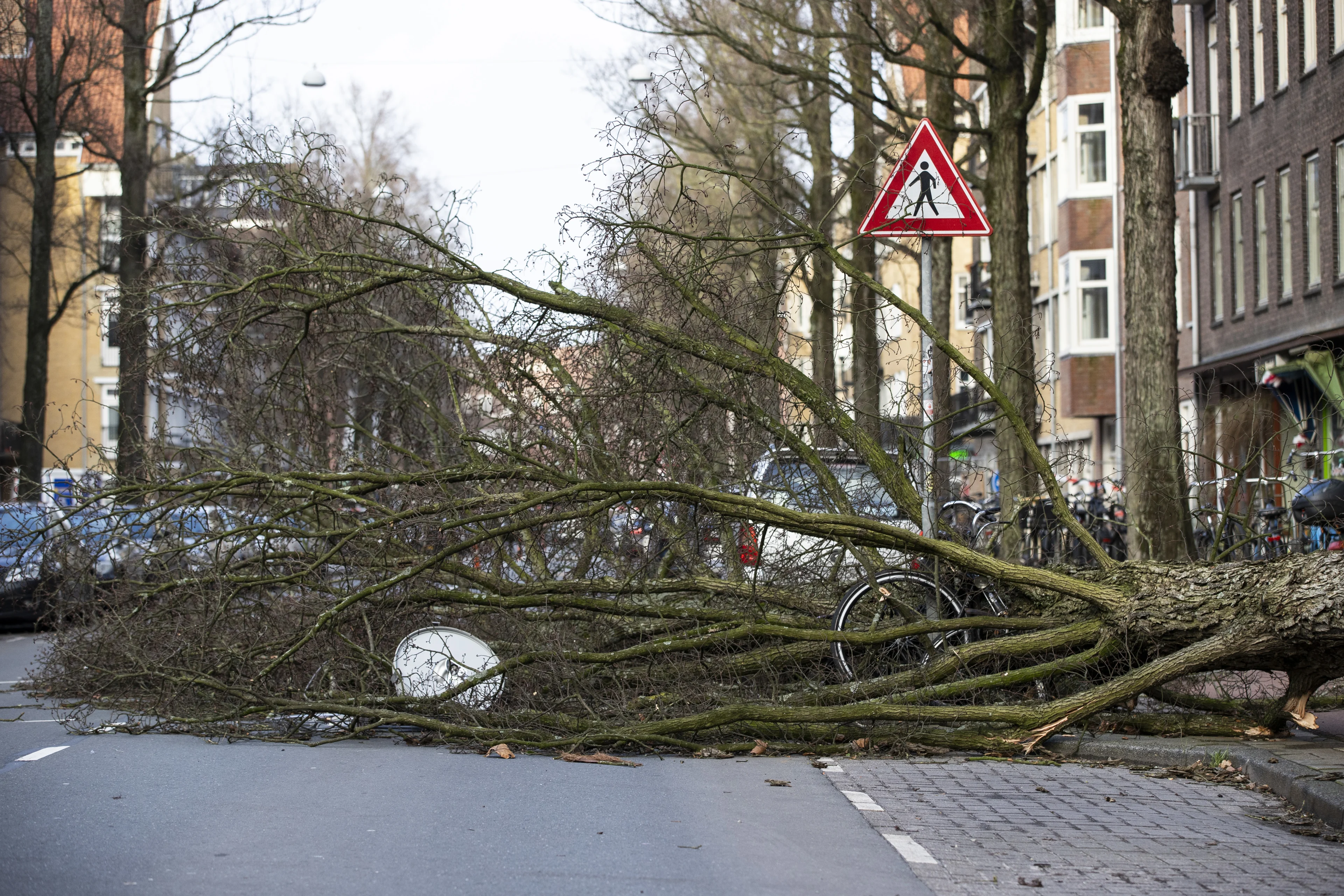 Hinder op wegen door storm, opruimen in volle gang