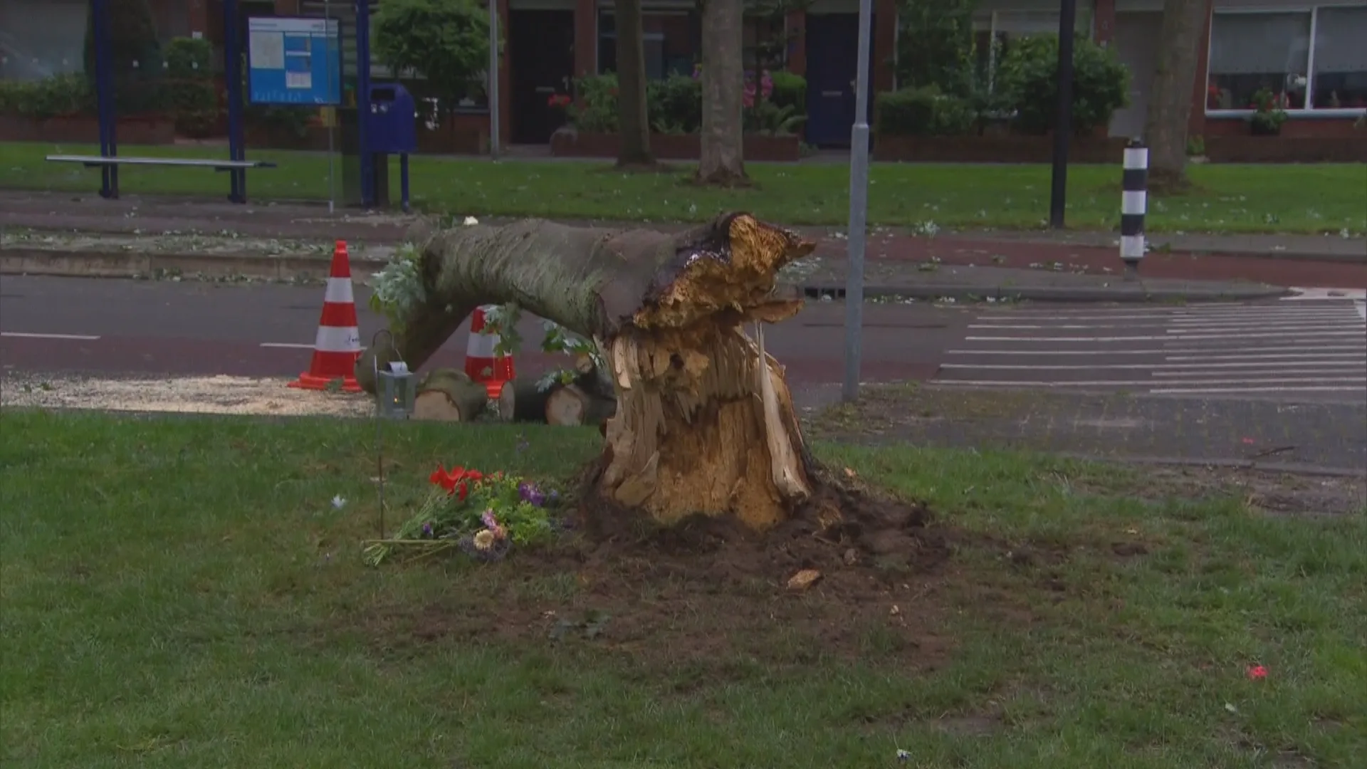 Zwolle rouwt om fietsster die overleed onder omgevallen boom: 'Ik denk al de hele dag aan haar man'