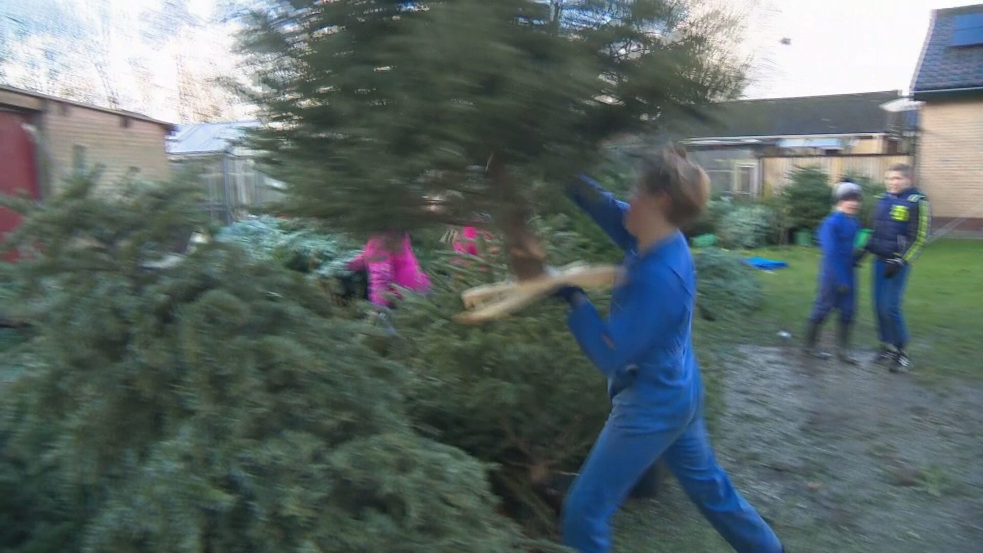 Heel het dorp Waarland in actie om geld op te halen voor doodzieke Charley (7)
