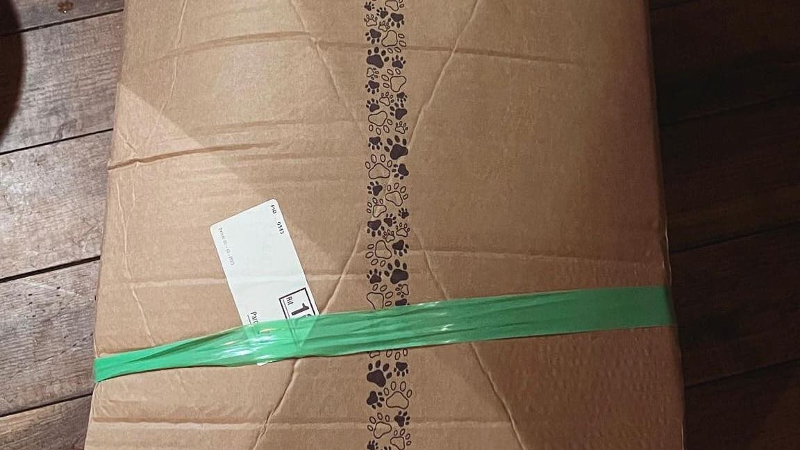 Dieven stelen per ongeluk van bekende: 'Kak, ik ken haar'