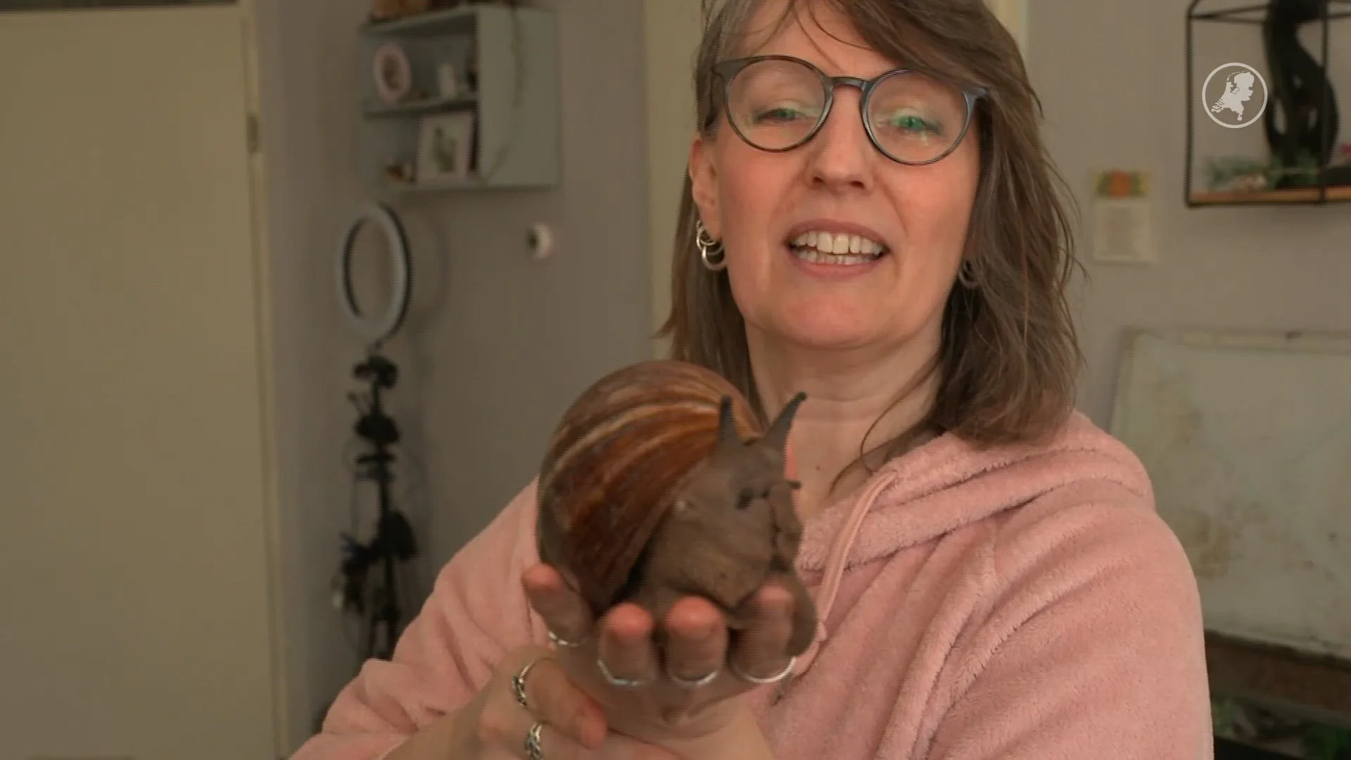 Nathalie heeft 6 reuzenslakken en 30 kleine slakken: 'Oudste is 12 jaar en heet Nutella'