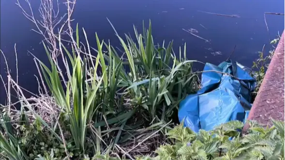 Hond met touw om nek gedumpt in kanaal: 'Ongekend dat mensen dit kunnen'