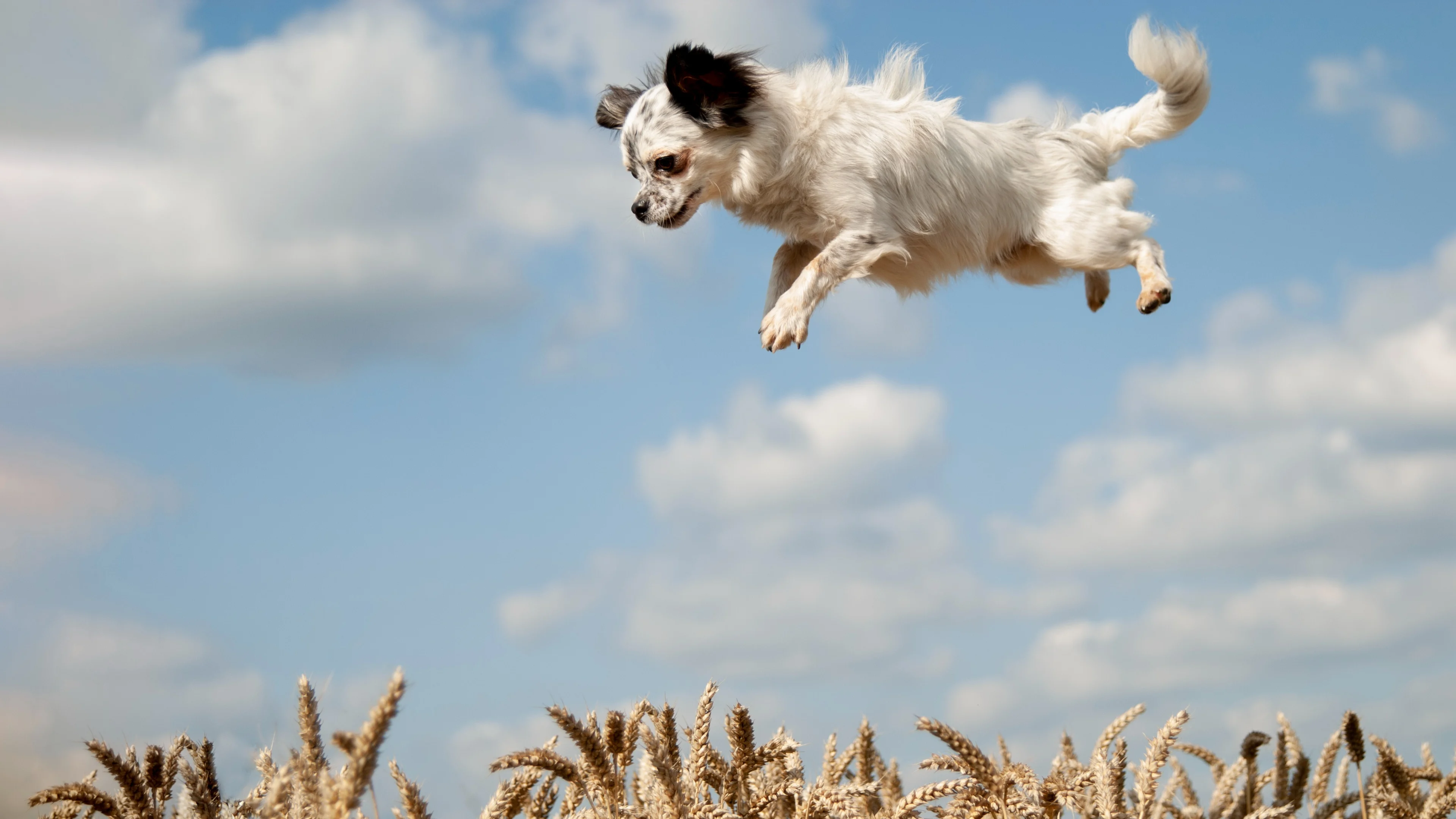 Volop zon vandaag, maar herfstachtig weer met veel buien is in aantocht