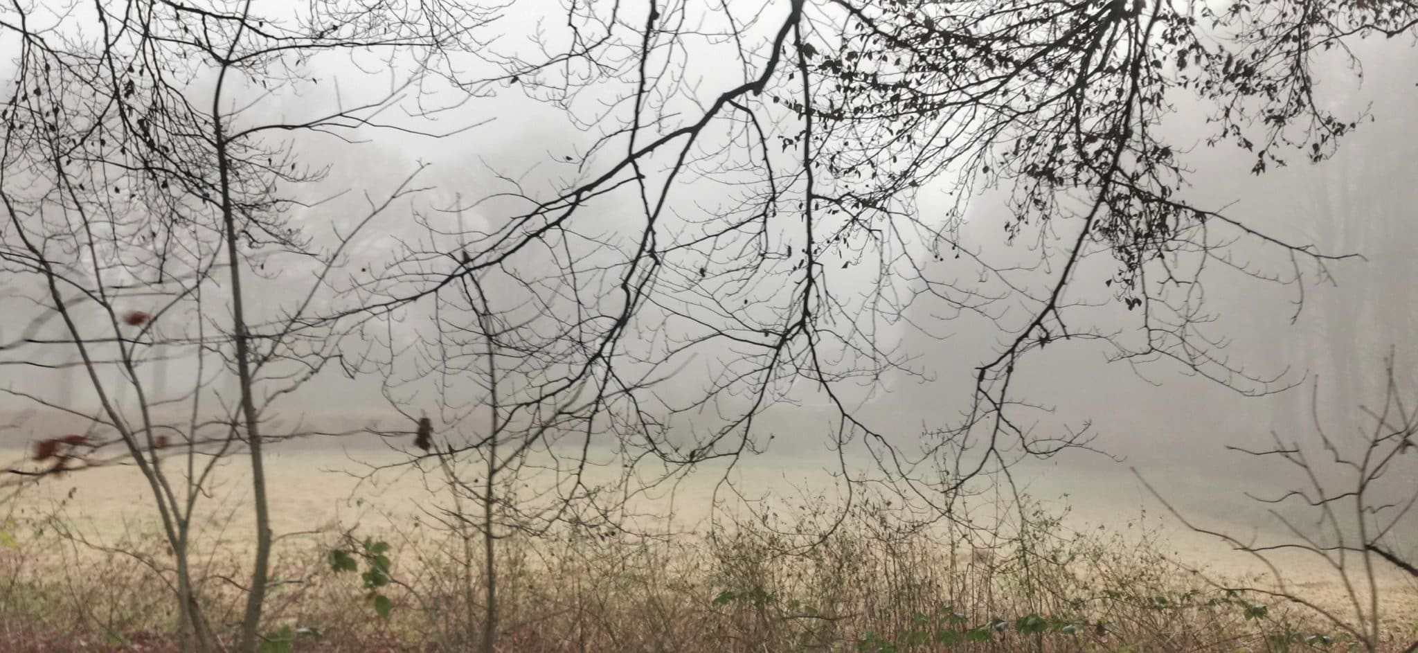 Warmste 7 december ooit gemeten: 14 graden in De Bilt