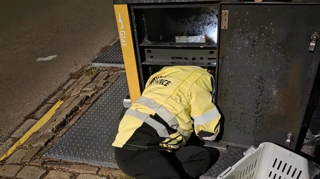Kat Joep gered uit ondergrondse glasbak in Middelburg
