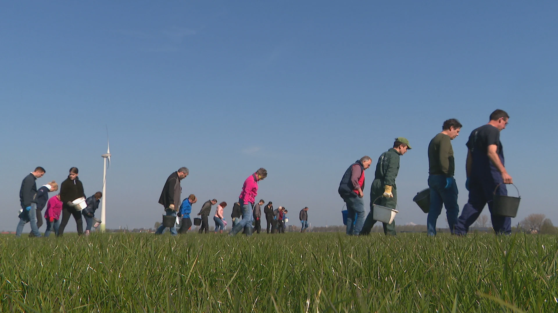 Zoeken naar gevaarlijke glasdeeltjes in het weiland na grote brand Etten-Leur