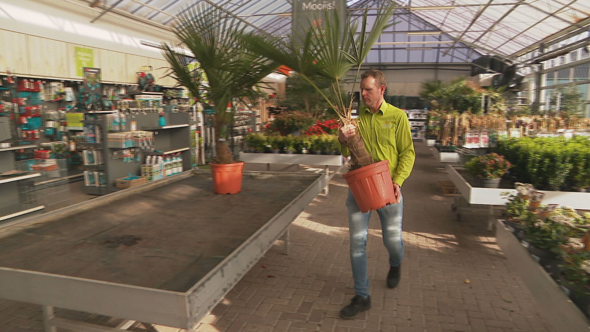 Tuincentra zitten aan de grond door sluiting: 'Over een paar weken kan alles de vuilnisbak in'