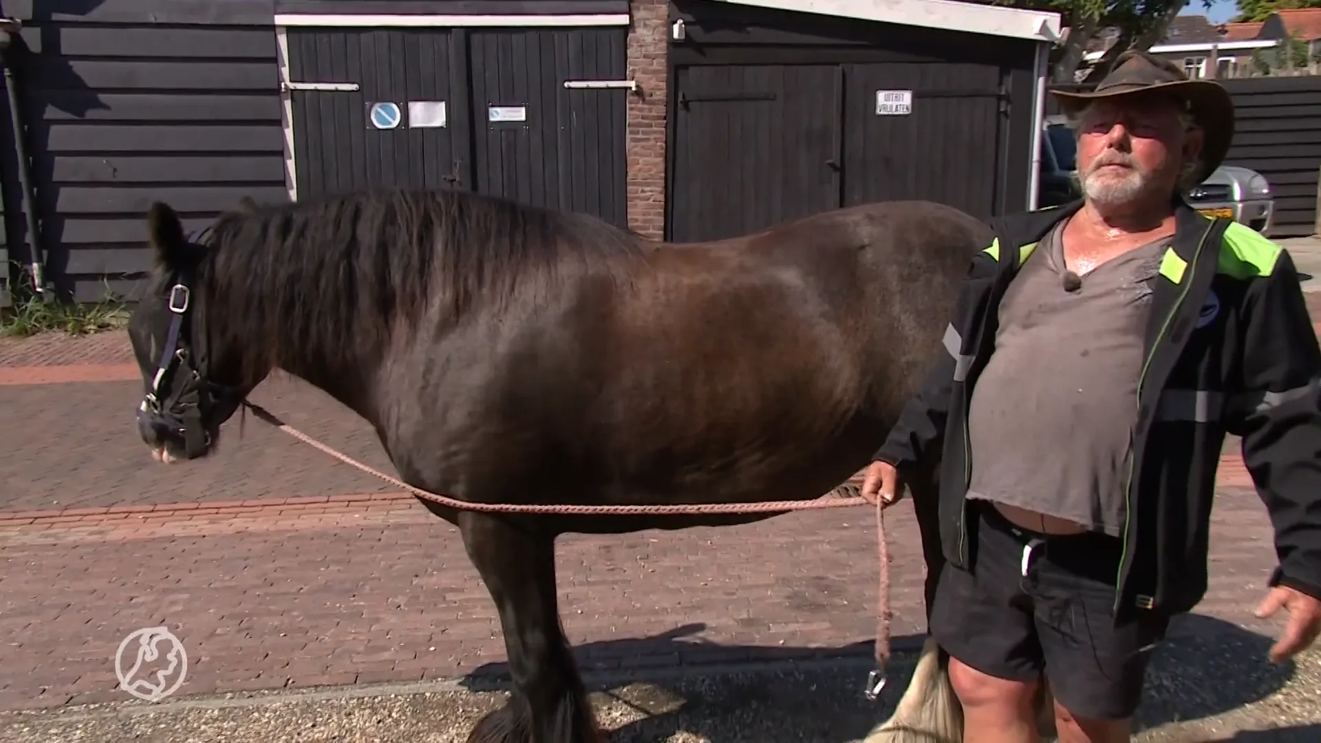 Marinus' paarden lopen los, inwoners klagen bij gemeente