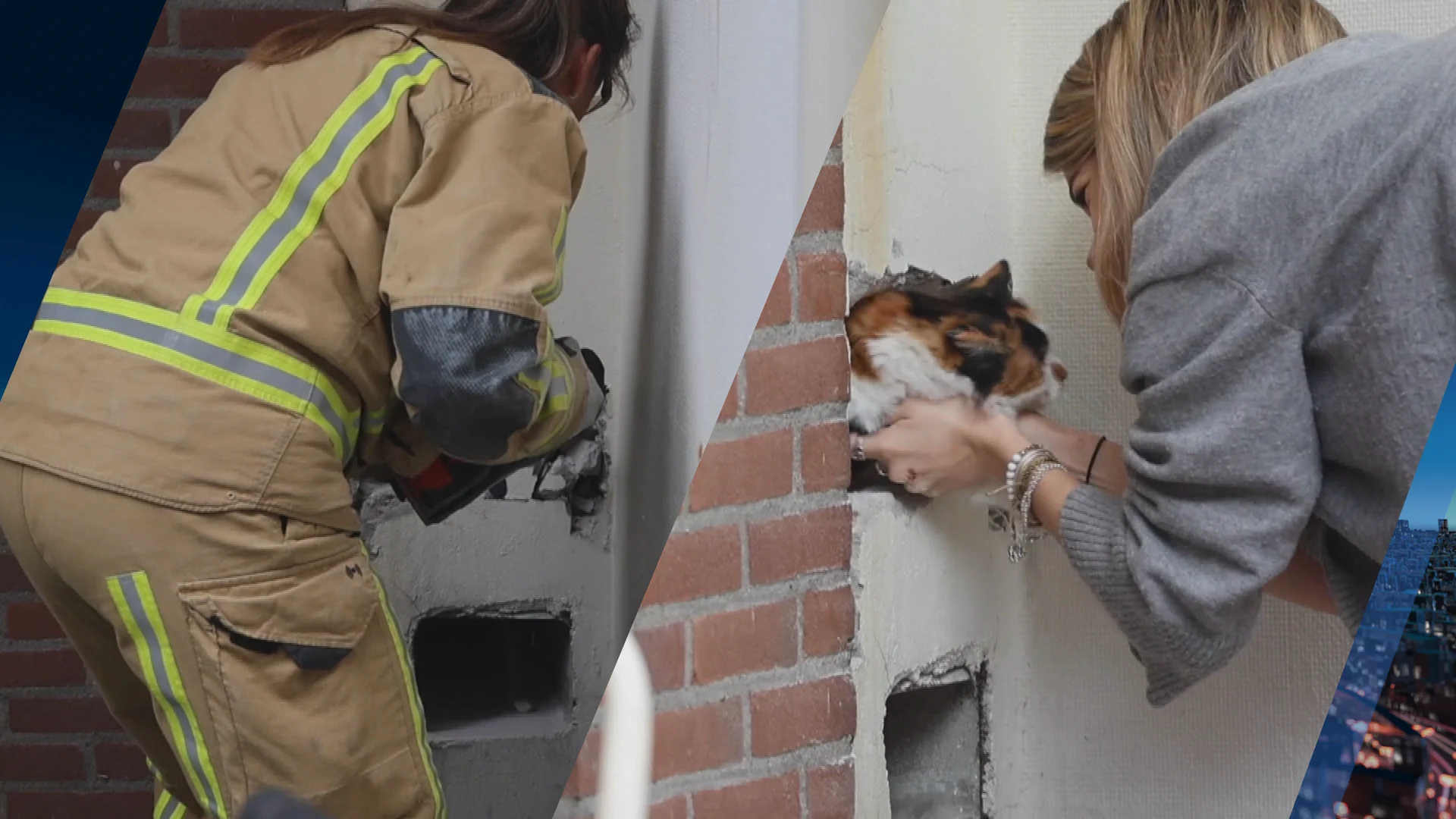 Poes Kenya zit dagenlang vast in regenpijp, brandweer start grote reddingsactie