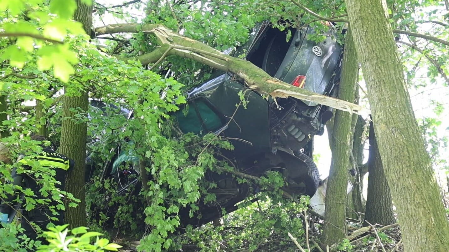 Auto eindigt in boom bij keiharde botsing afrit A2
