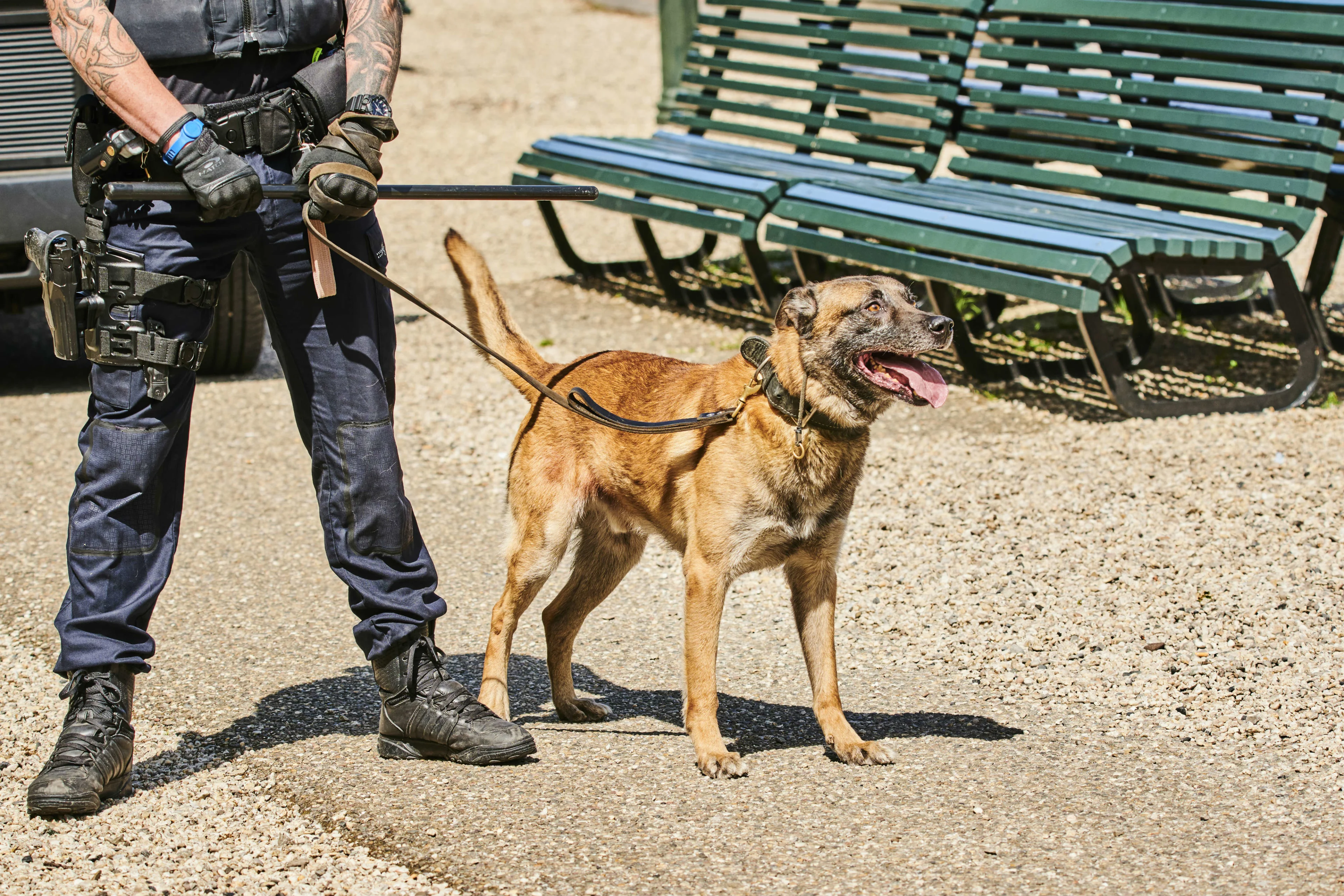 Man kidnapt eigen zoon (7) onder bedreiging vuurwapen, crasht na wilde achtervolging