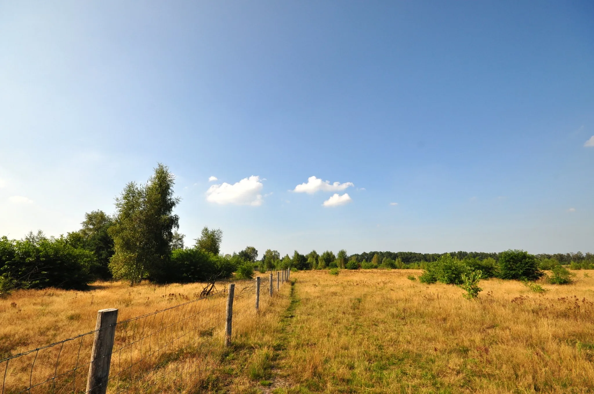 Prachtig nazomerweer met flink wat zon