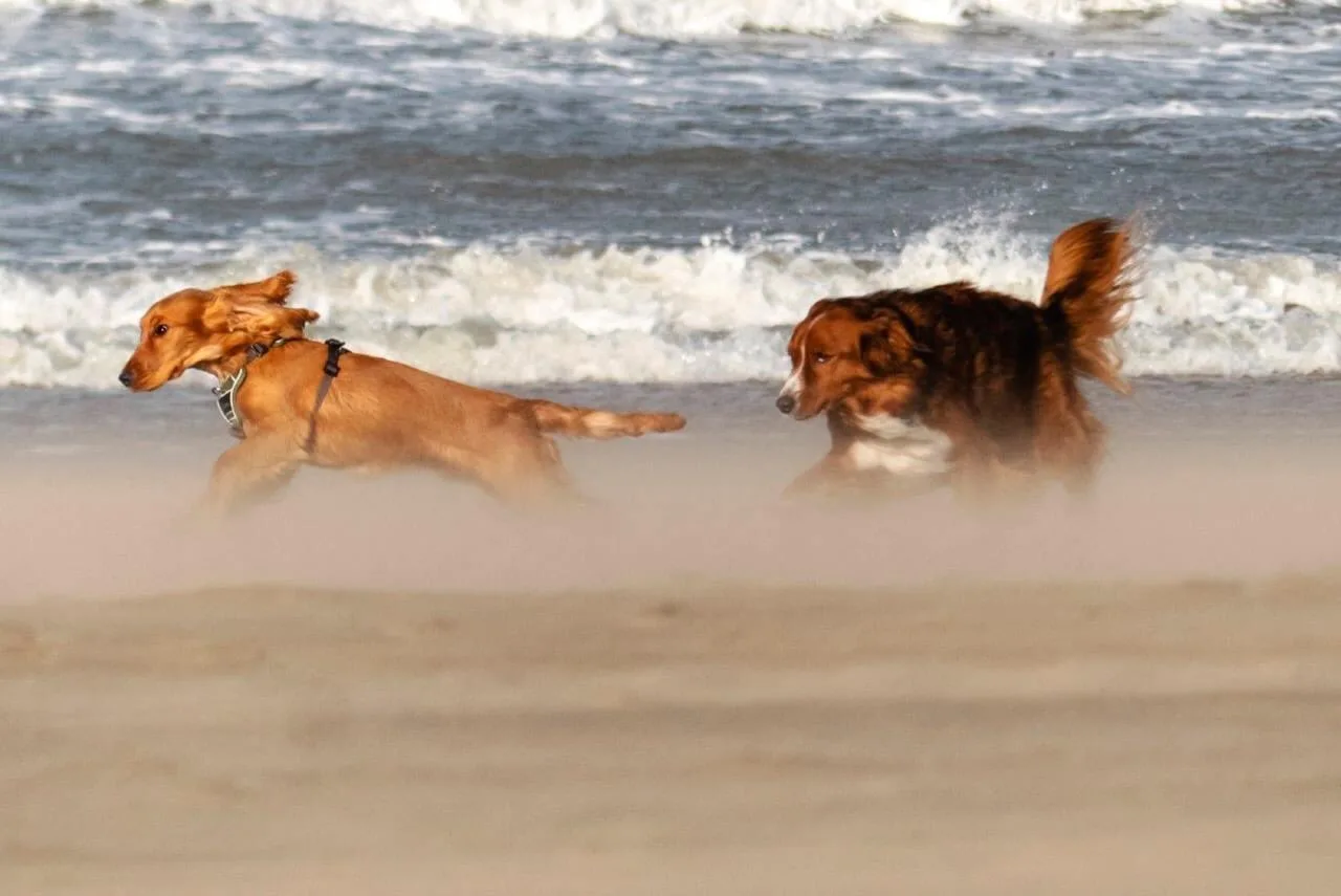 Koud weekend met rustig winterweer voor de boeg