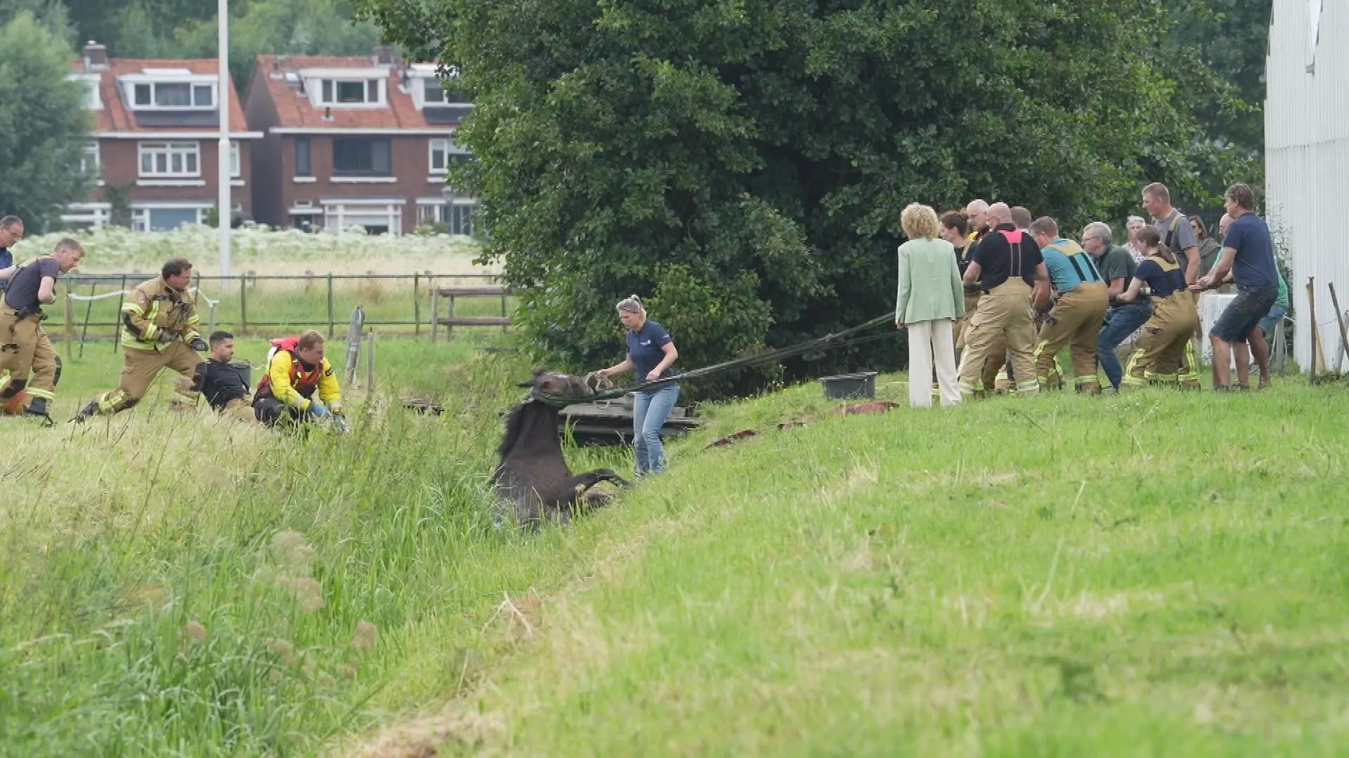 Paard zit urenlang vast in diepe sloot en moet gered worden