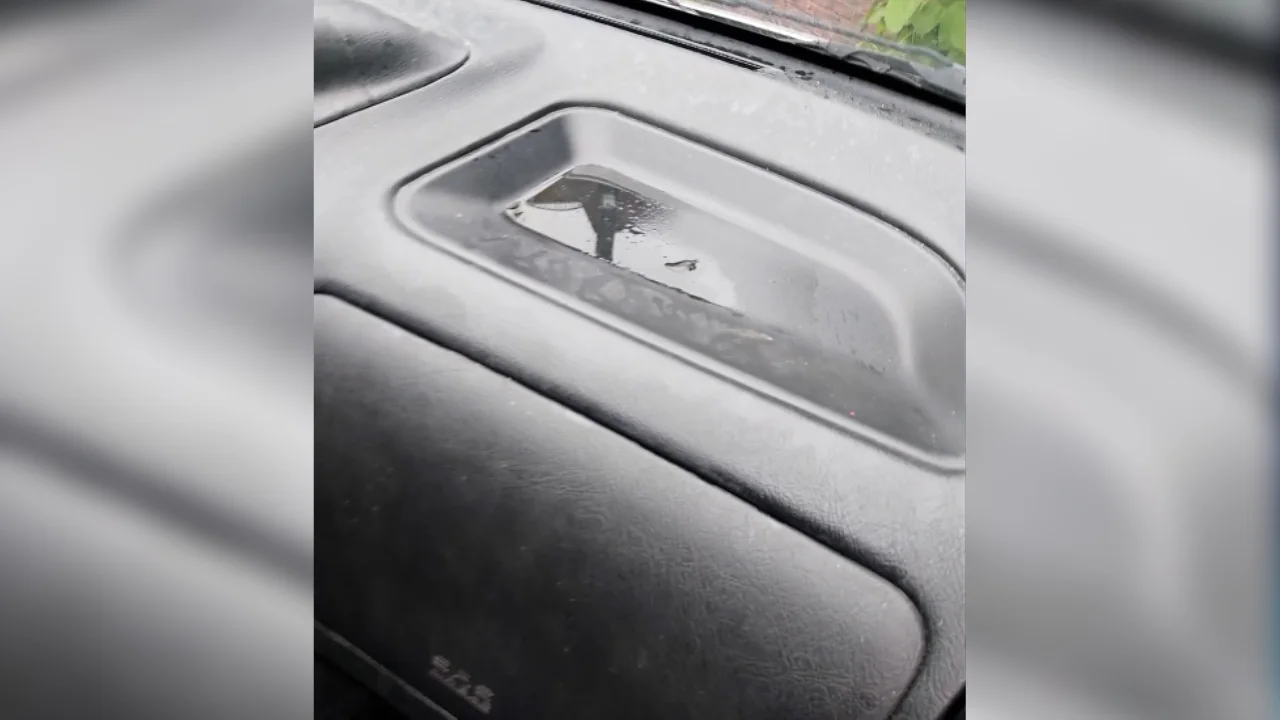 Notoire wildplasser actief in Groningen: tuinsets en auto's ondergezeken